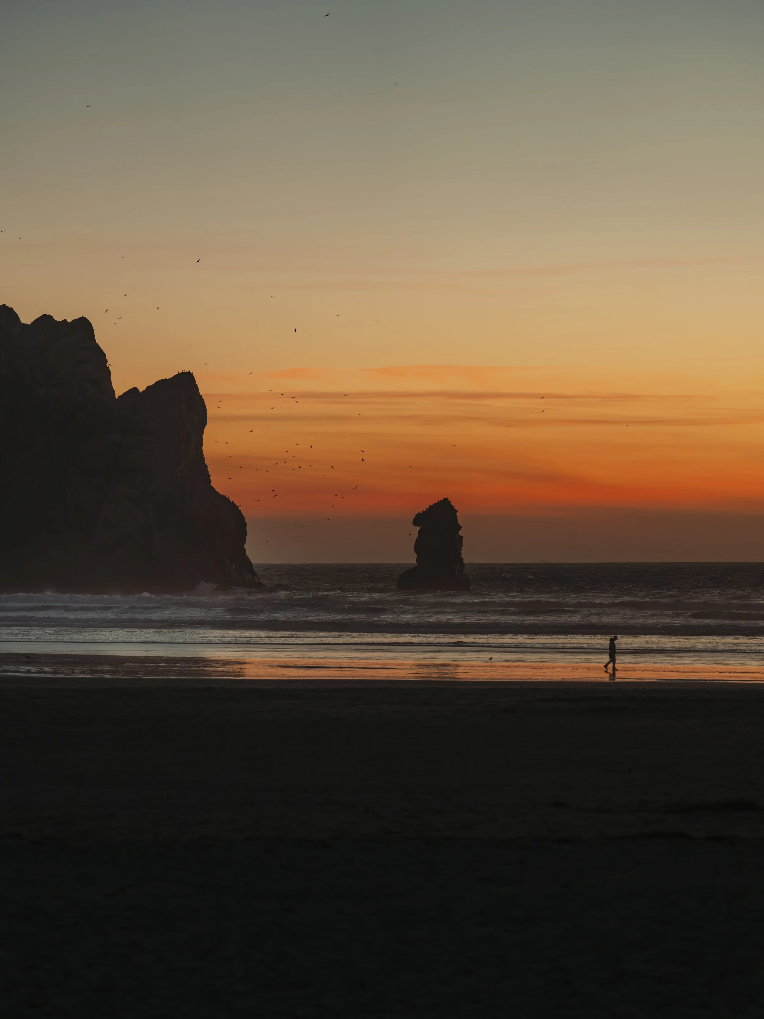 Sunset at the beach with silhouettes of rocks, a person walking along the shore, and birds flying in the sky.