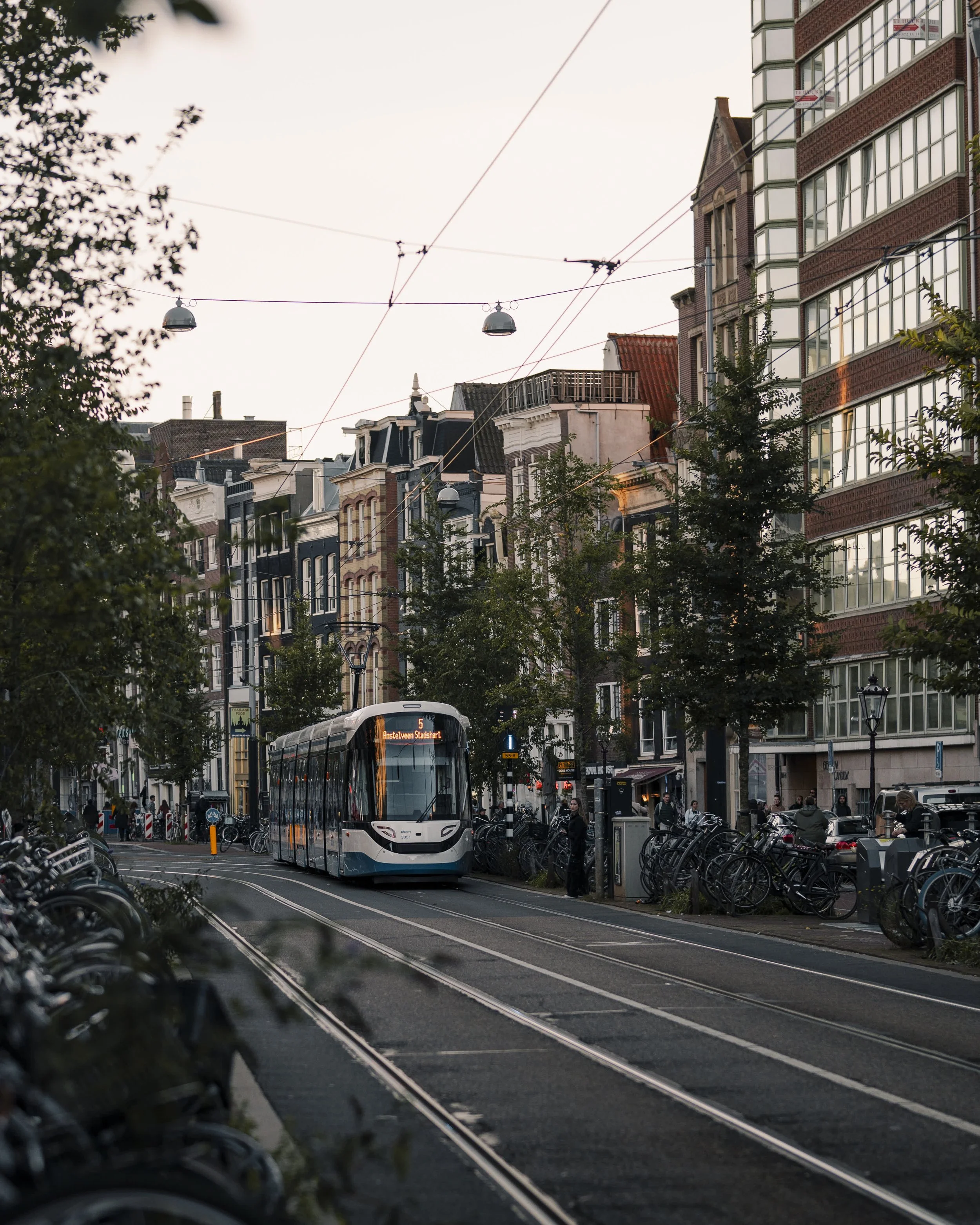 A street scene in a city with a modern tram on tracks, surrounded by bicycles, trees, and tall buildings with mixed architectural styles, during early evening.