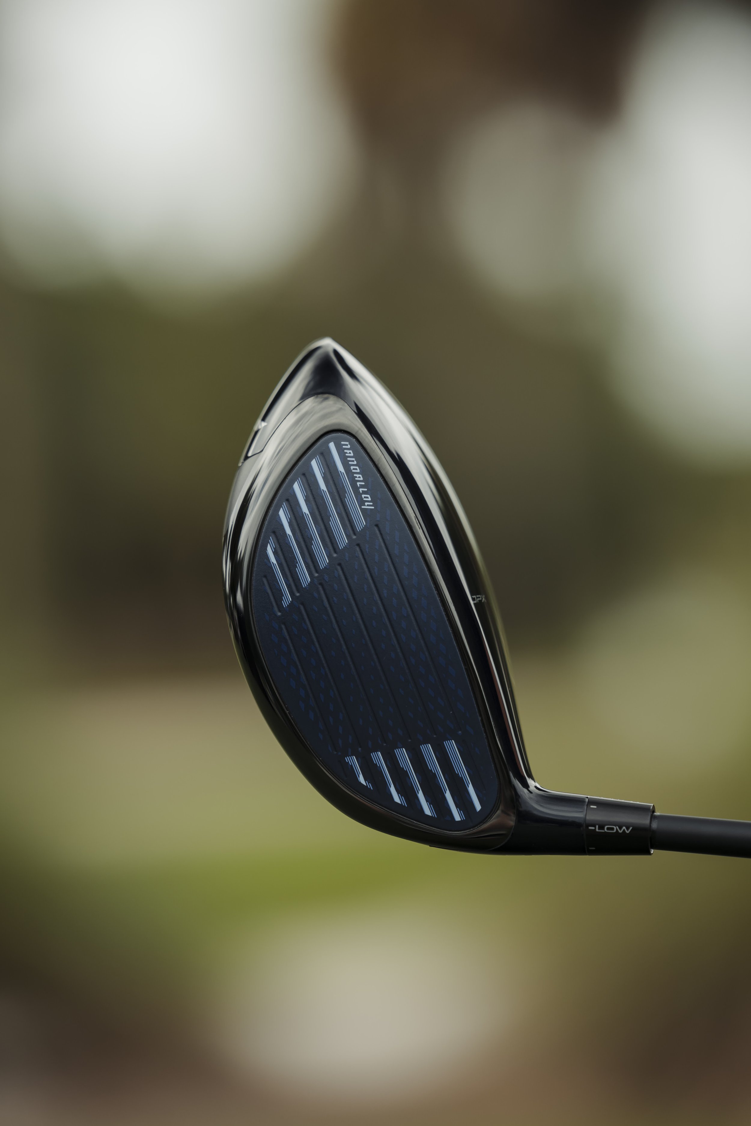 Close-up of a golf club head with a blue and black design, set against a blurred outdoor background.