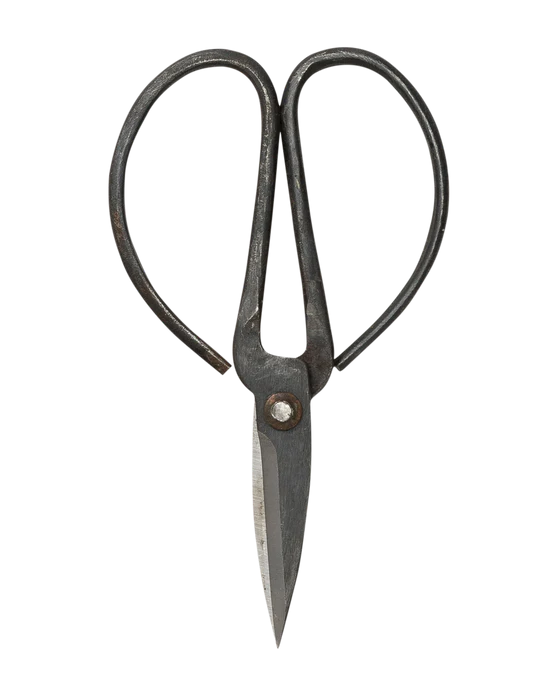 Gardening Shears