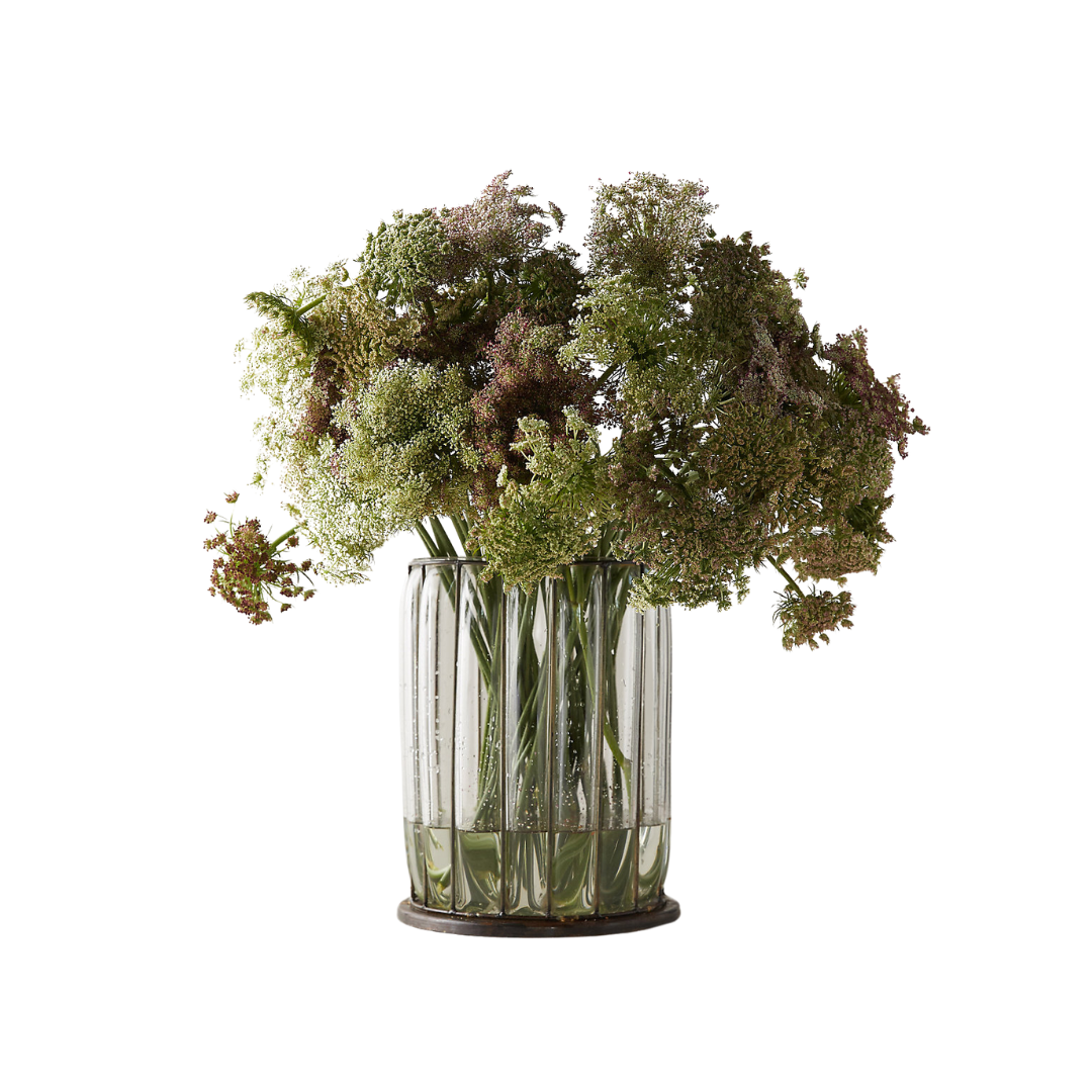 Fresh Chocolate Queen Anne's Lace Bunch