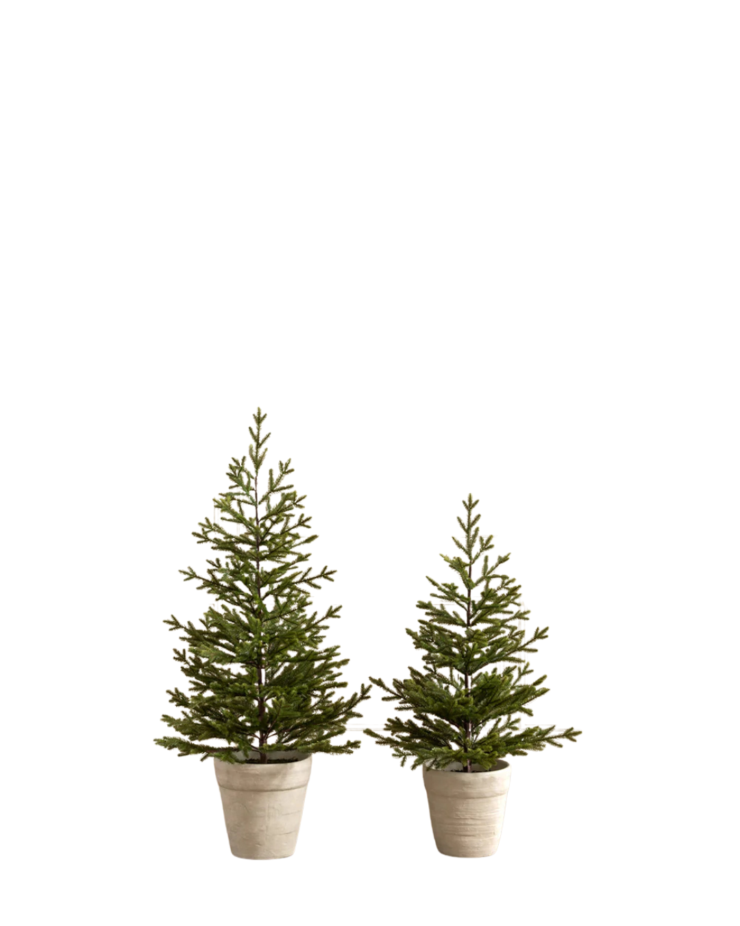 5' Pre-Lit Faux Potted Spruce