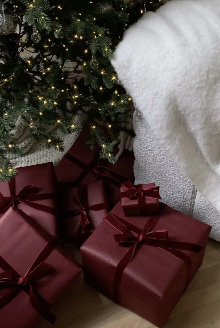Holiday Gift Guide 2025