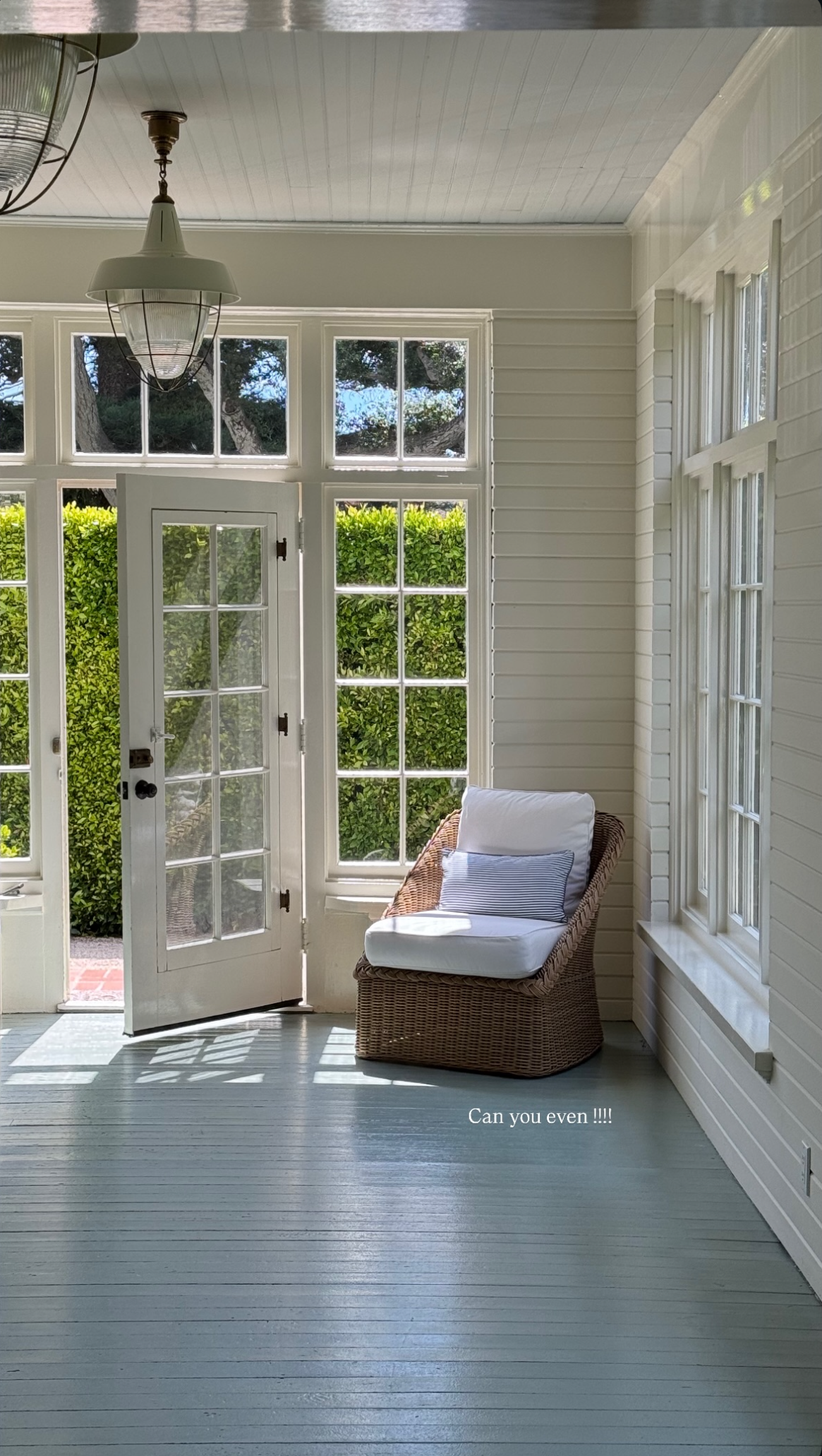 IMG_8646.PNG