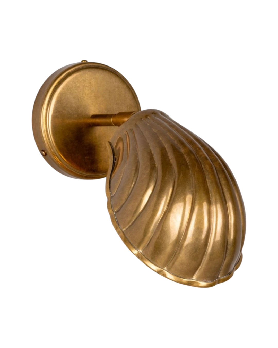Shell Wall Sconce
