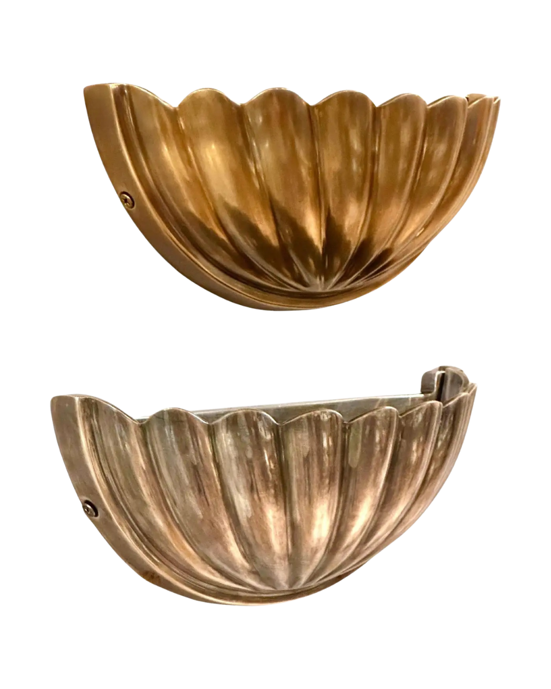 Mini Shell Wall Sconce