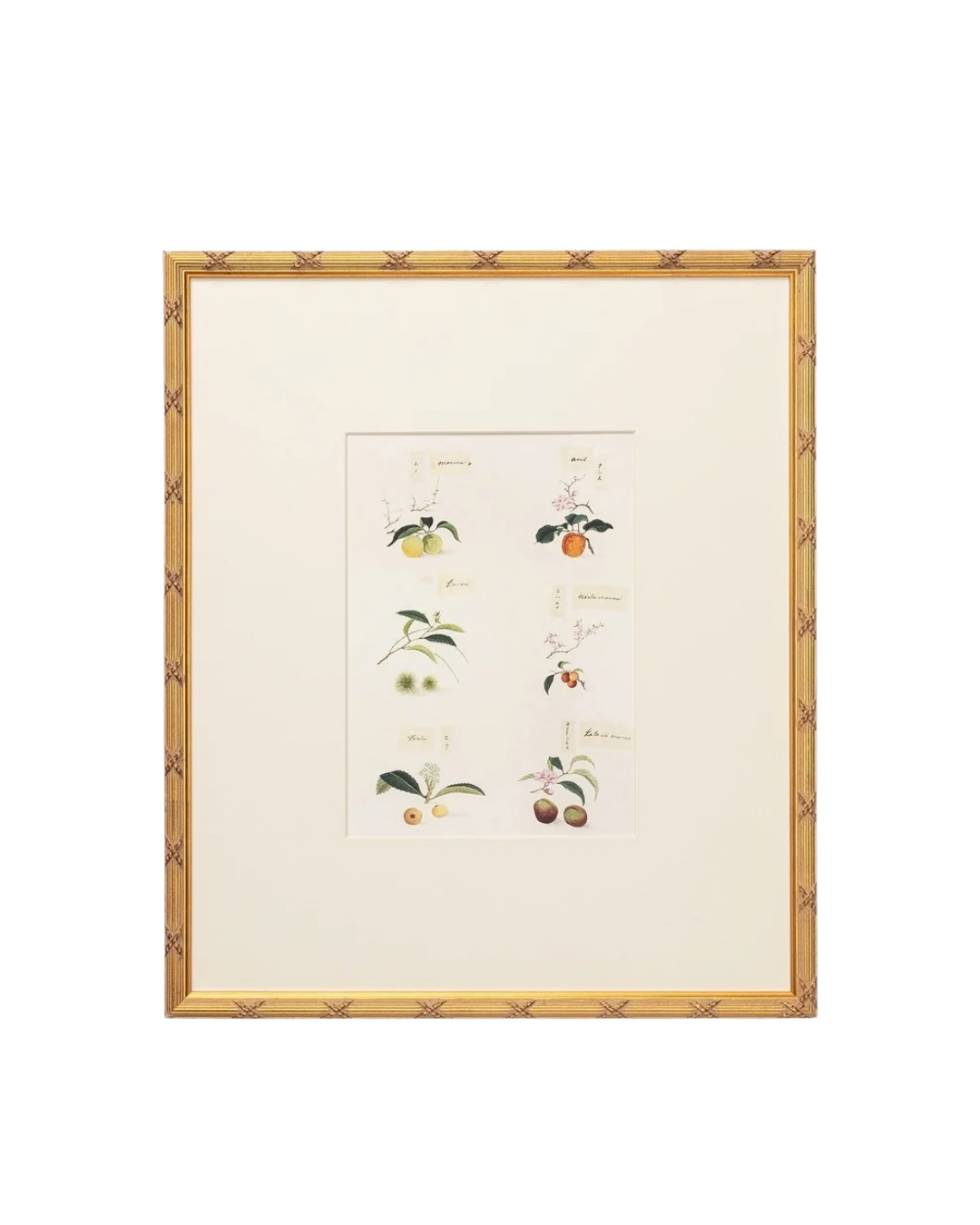 Botanical Grid 1