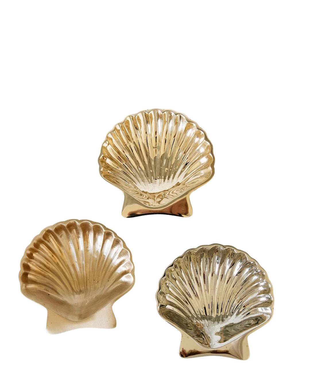Shell Dish