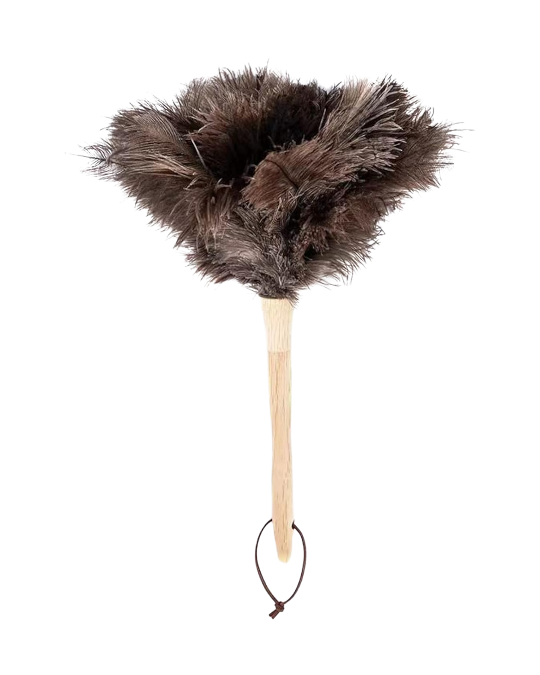Ostrich Feather Duster