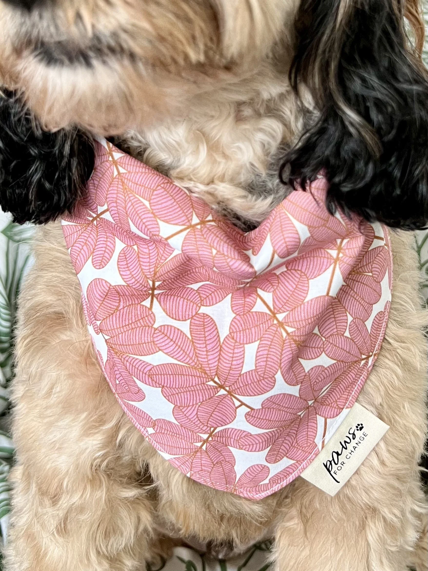 Fan Palm Dog Bandana.jpg