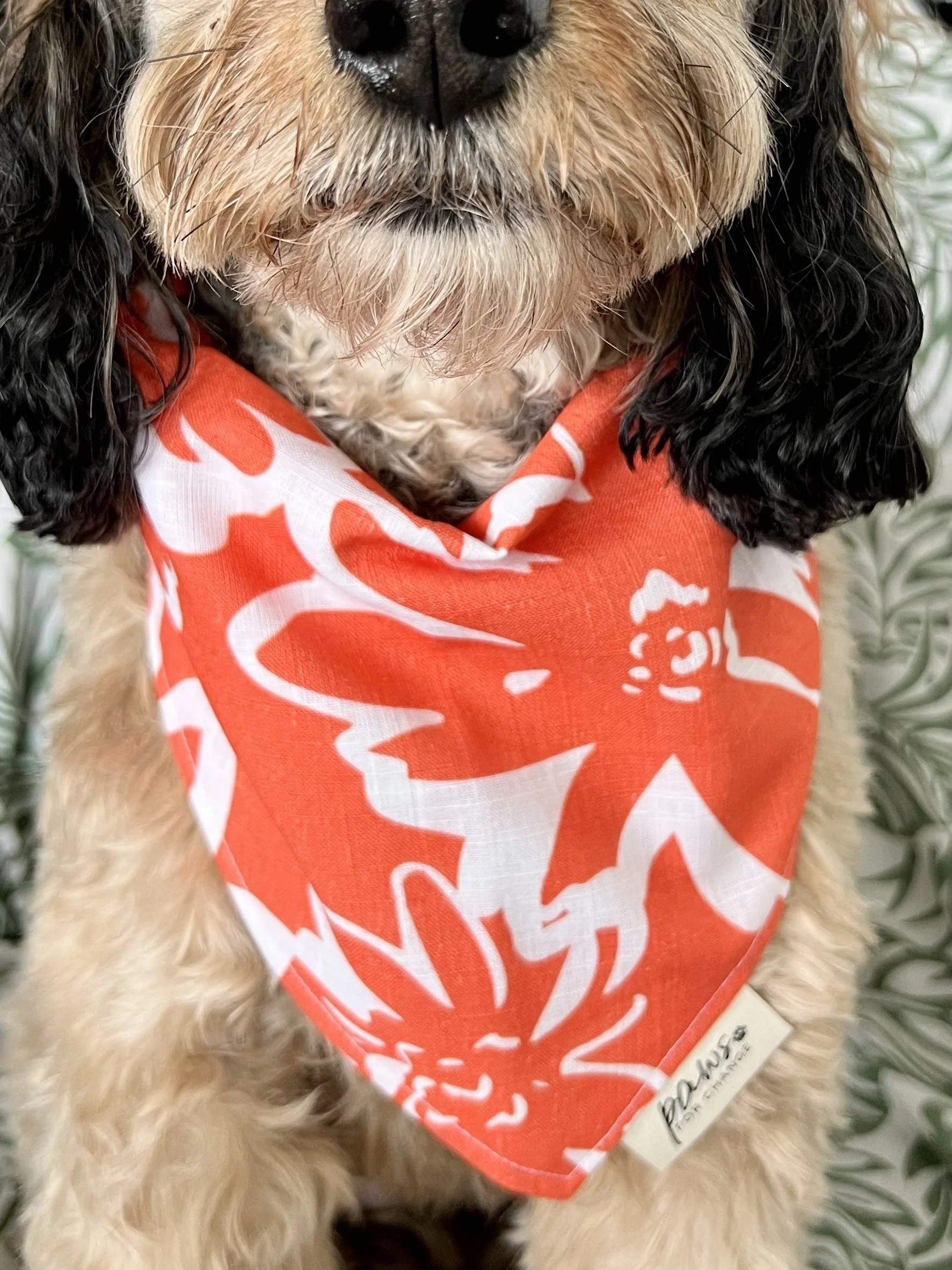 Hot Orange Summer Dog Bandana.jpg