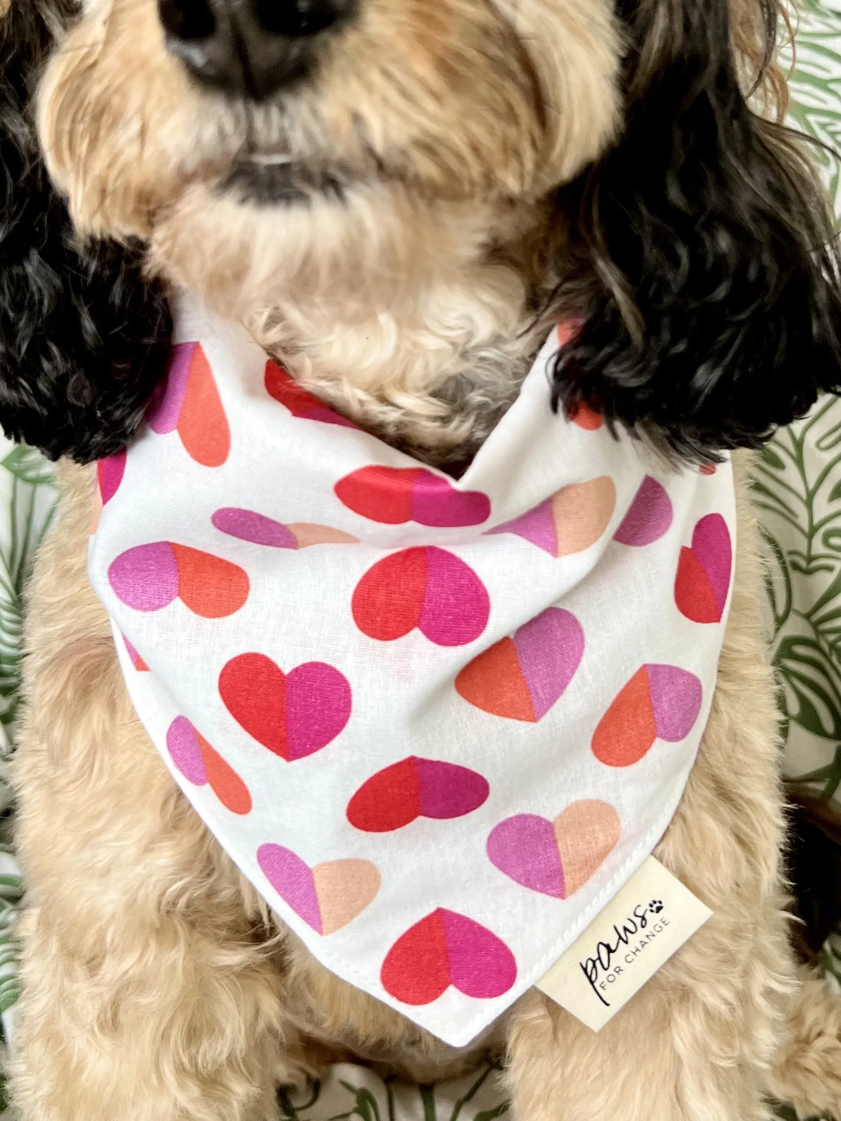 Two Hearts Dog Bandana.jpg