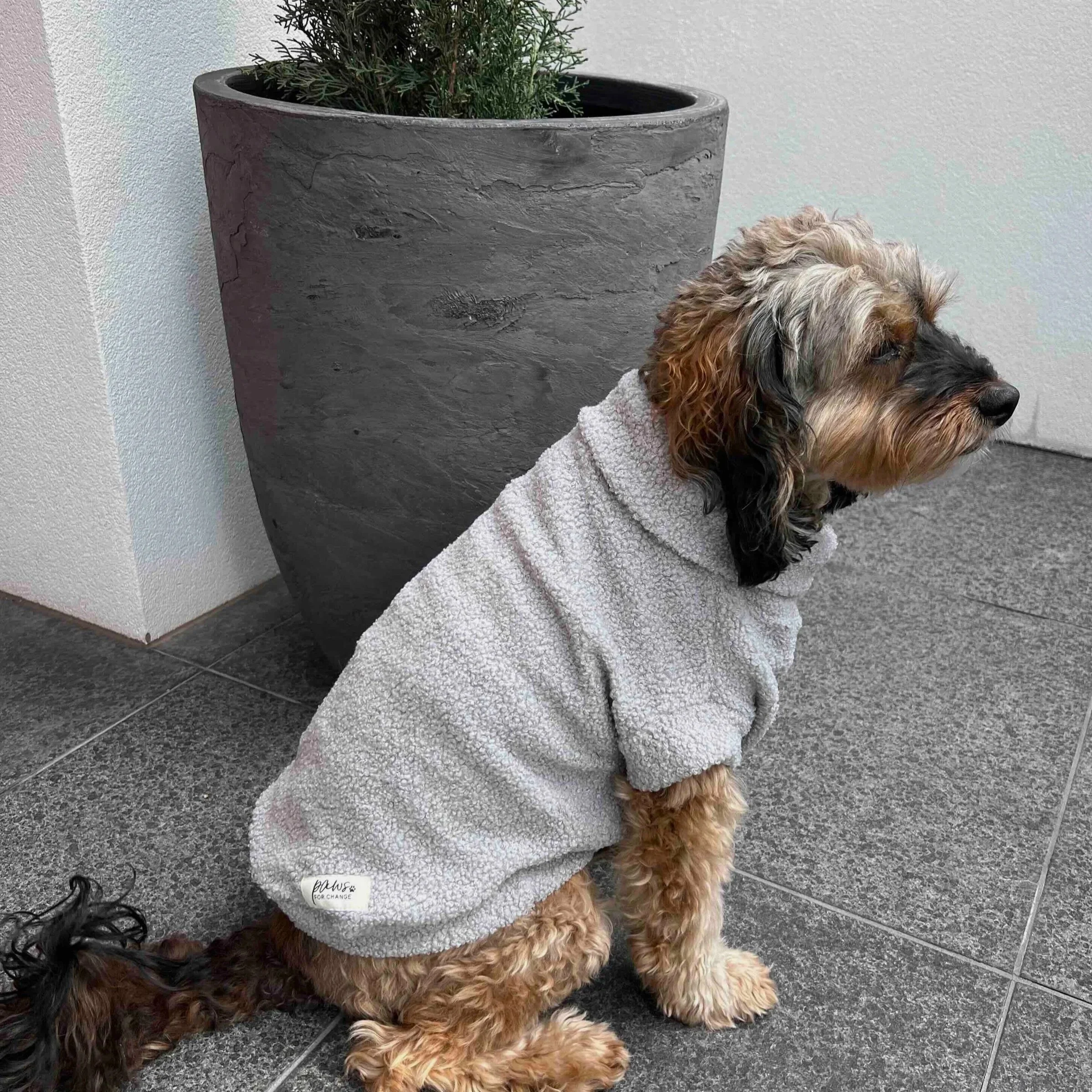 Teddy%2BSweater%2B-%2BAsh.jpg