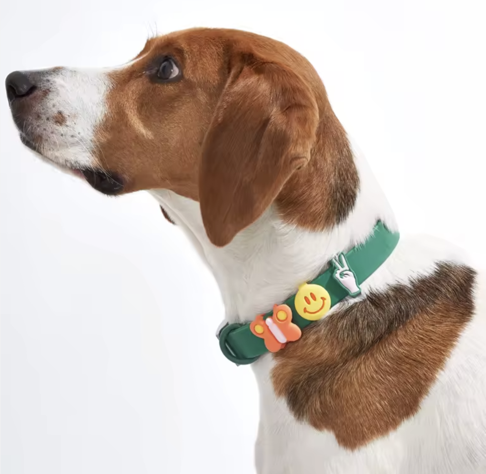 Charm Collar Image 2.png