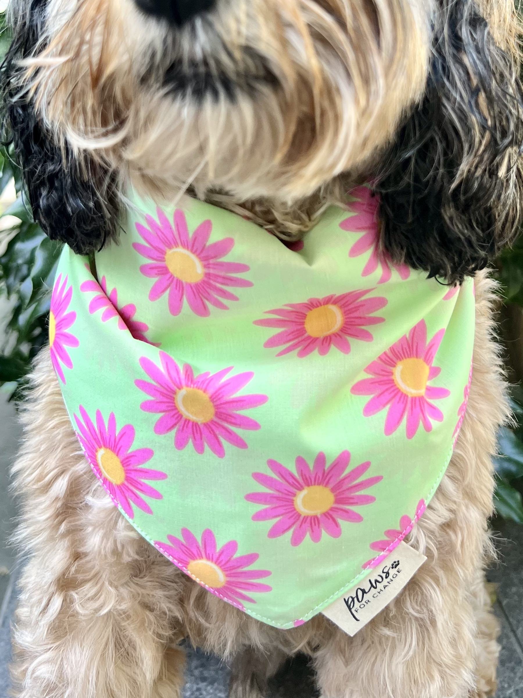Daisy Chain Bandana.jpg