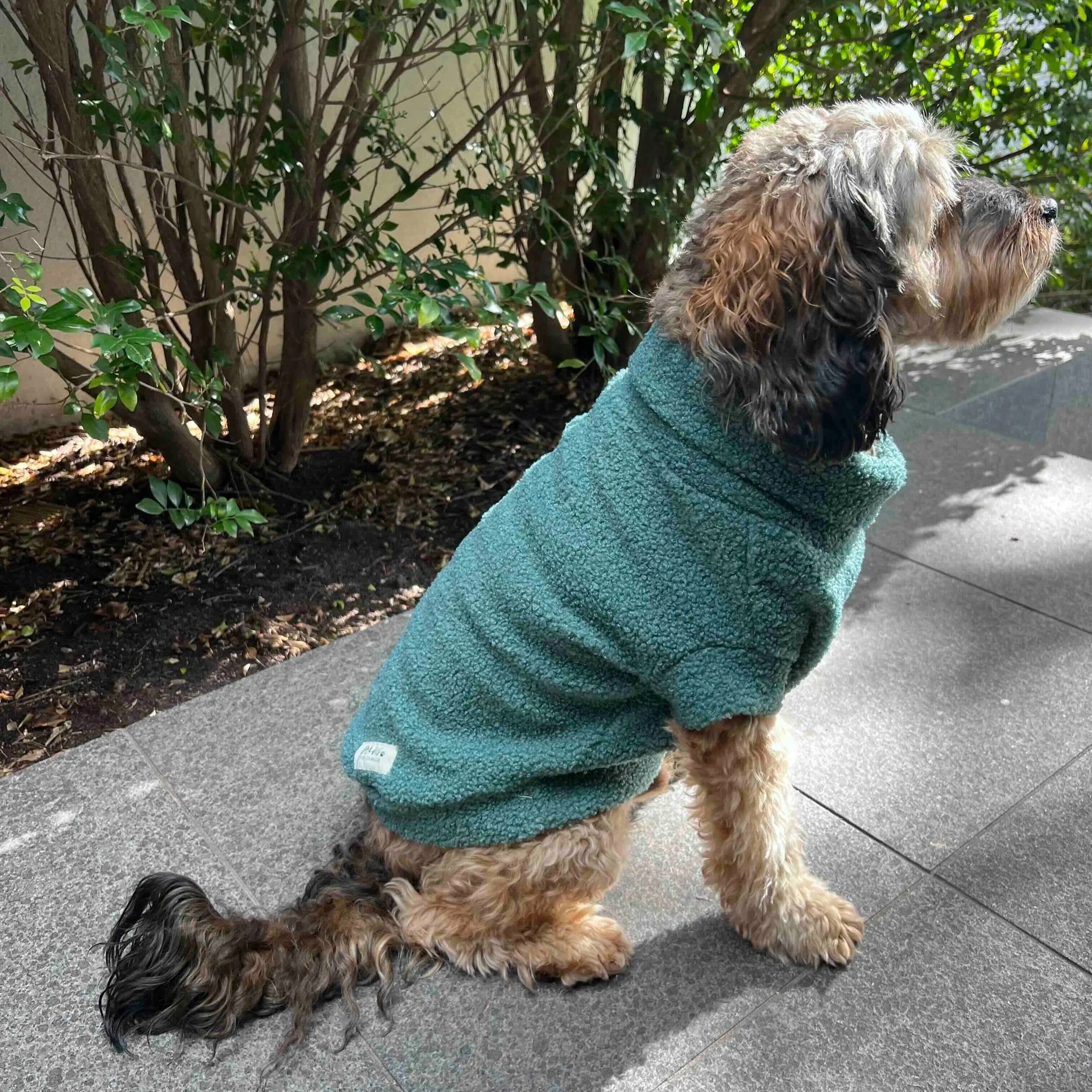 Teddy+Sweater+-+Forest.jpg