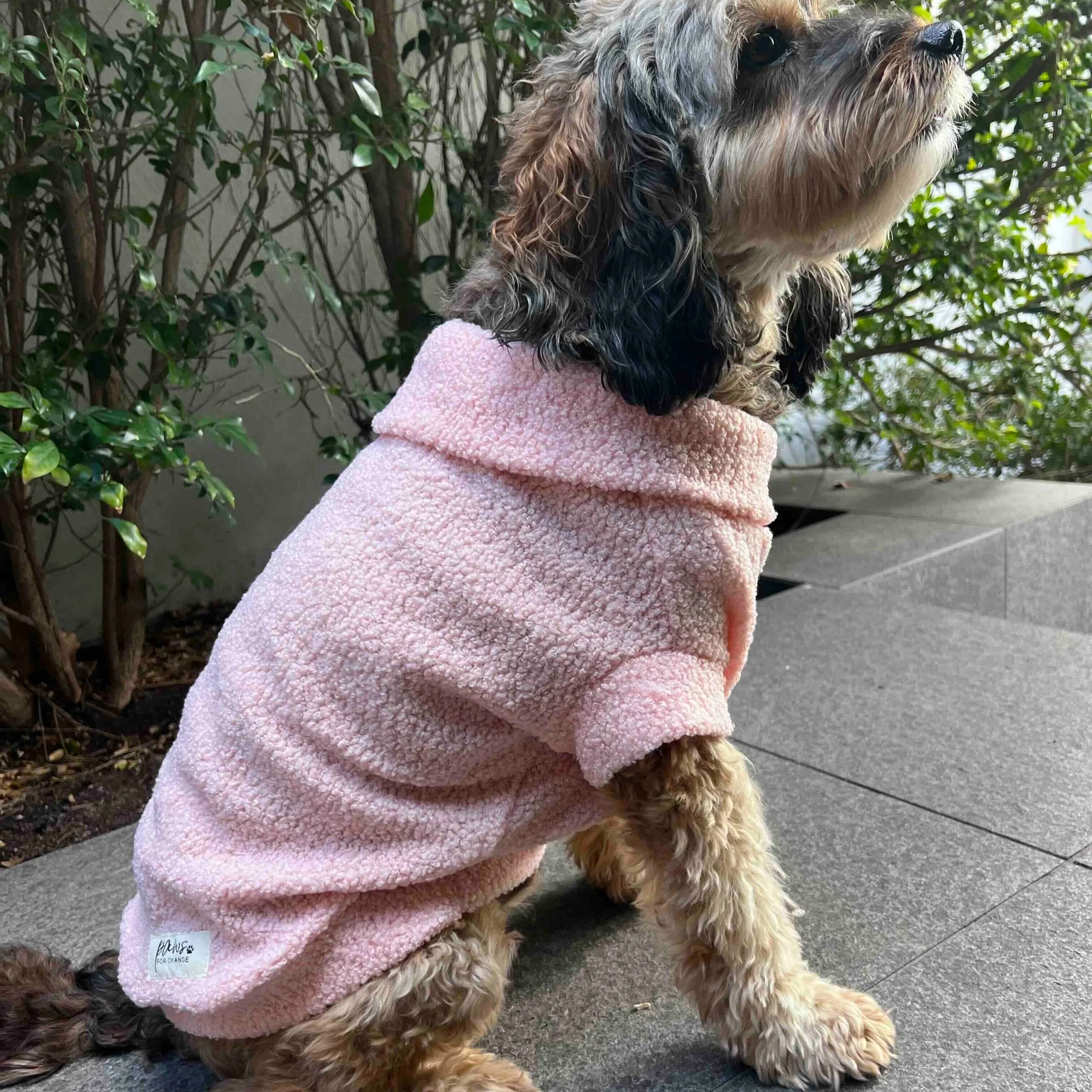 Teddy+Sweater+-+Pink.jpg