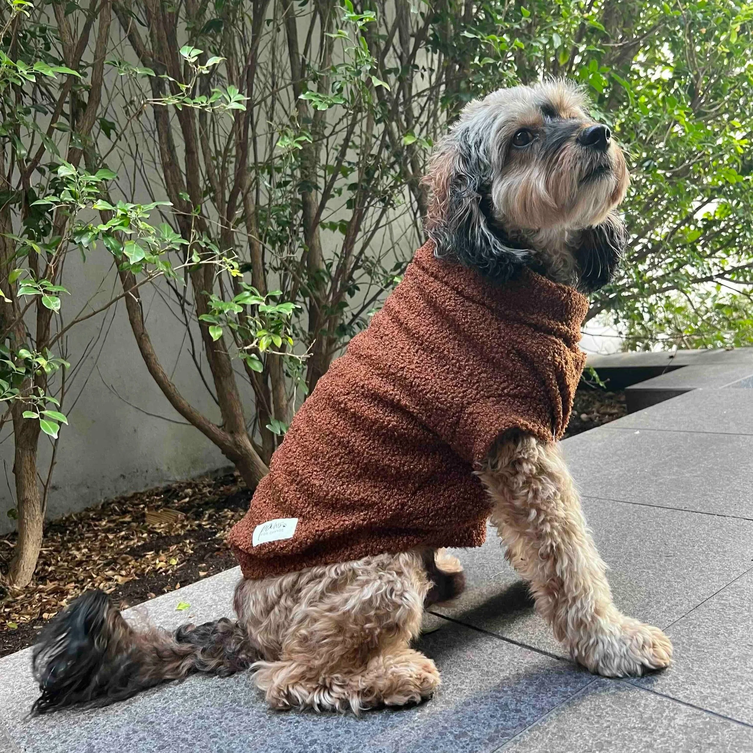 Teddy+Sweater+-+Chocolate.jpg