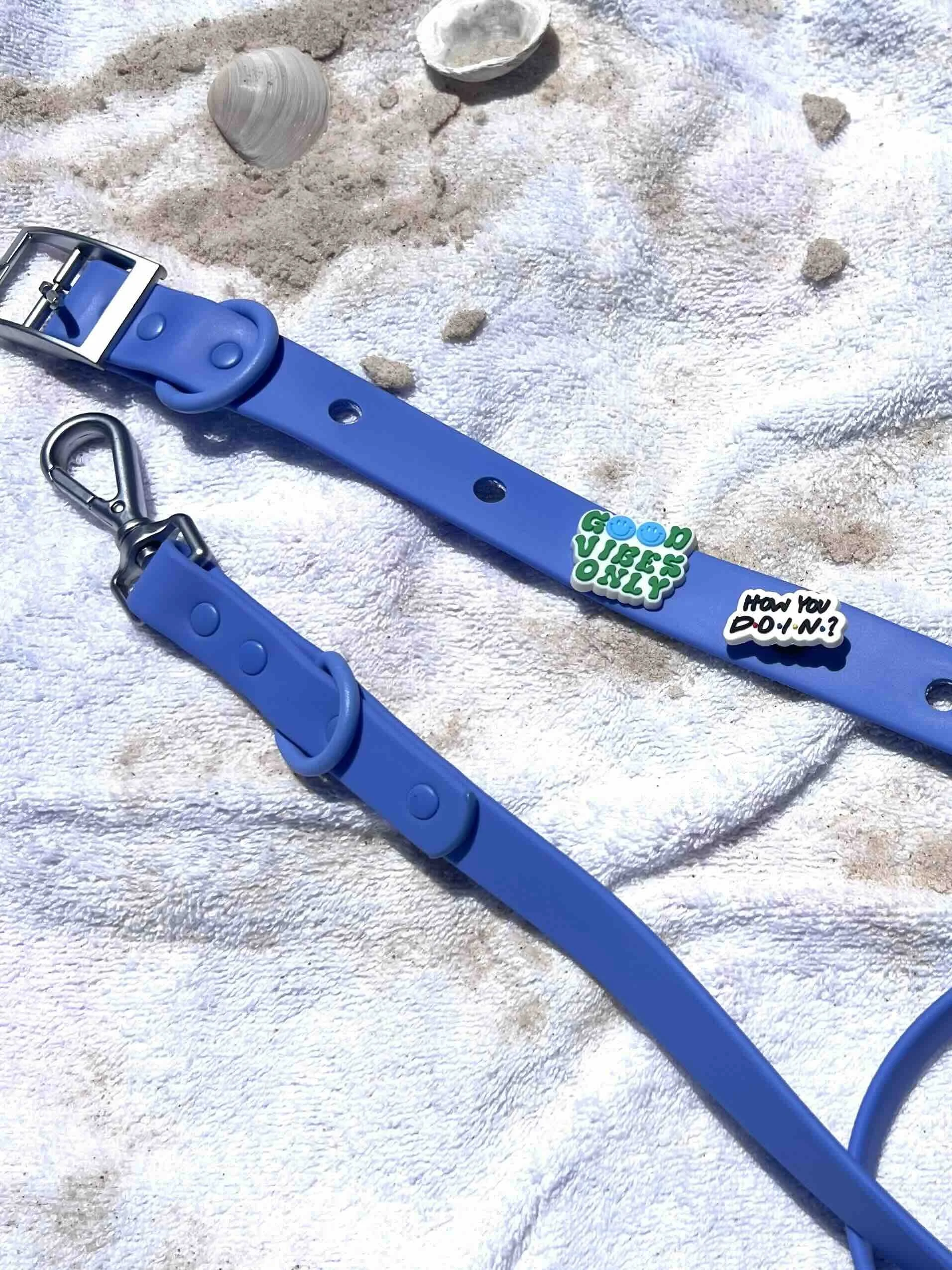 Sky Blue PVC Collar and Lead Set.jpg