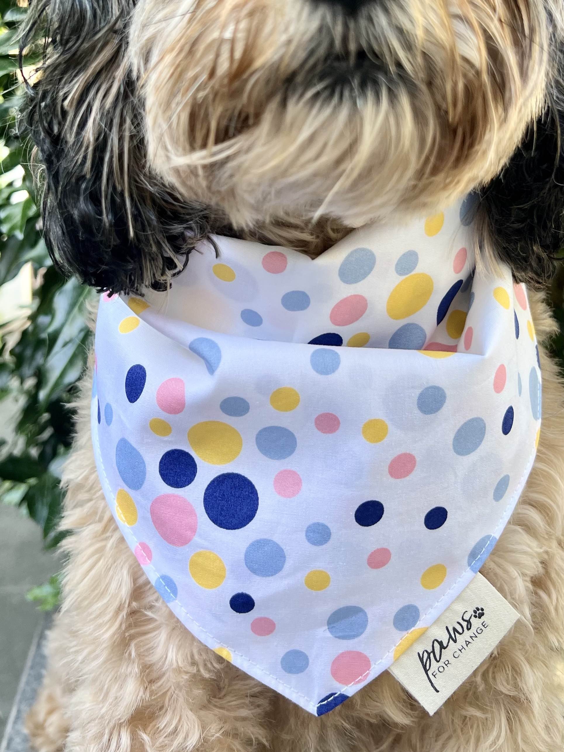 Spotted Bandana.jpg