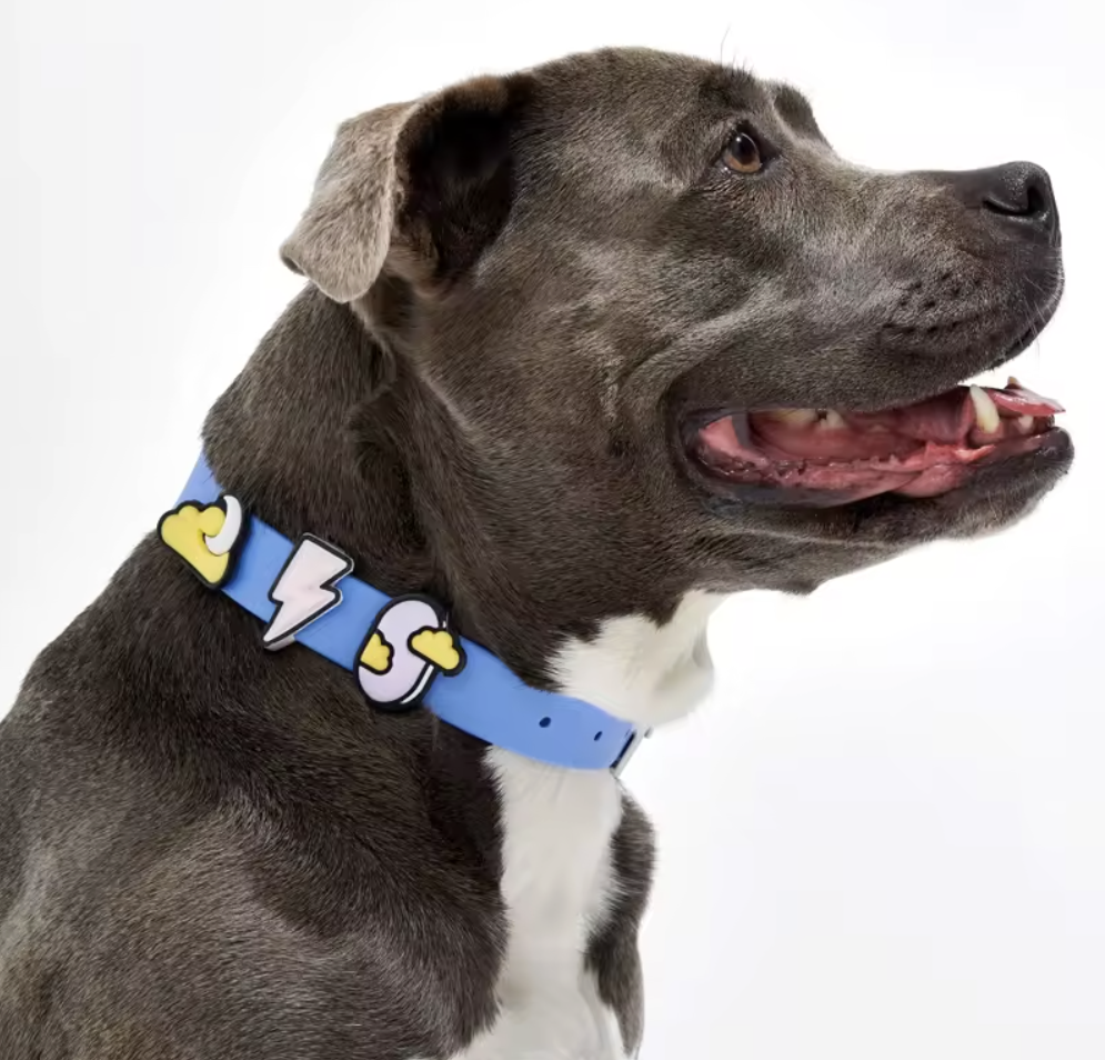 Charm Collar Image.png