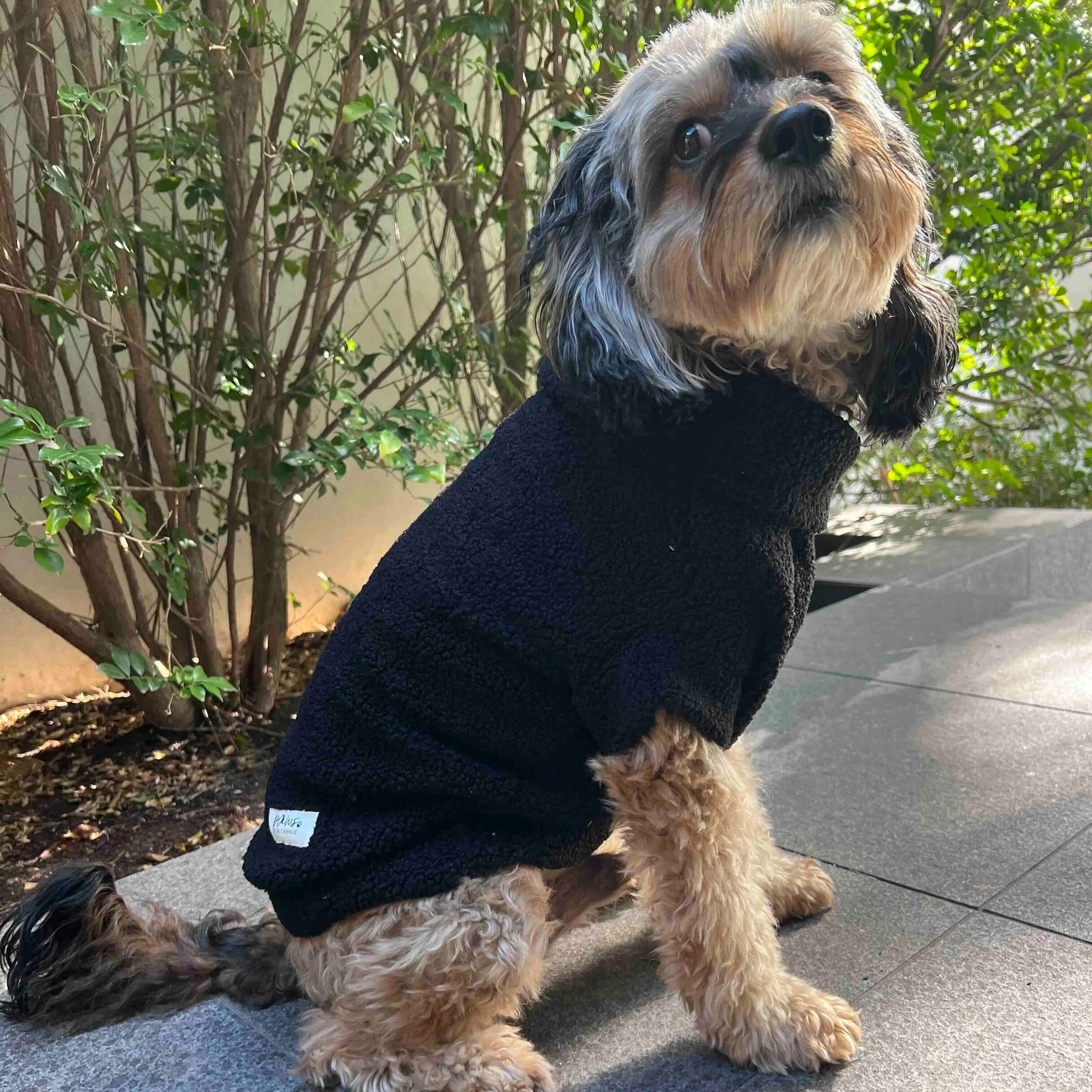 Teddy+Sweater+-+Ink.jpg