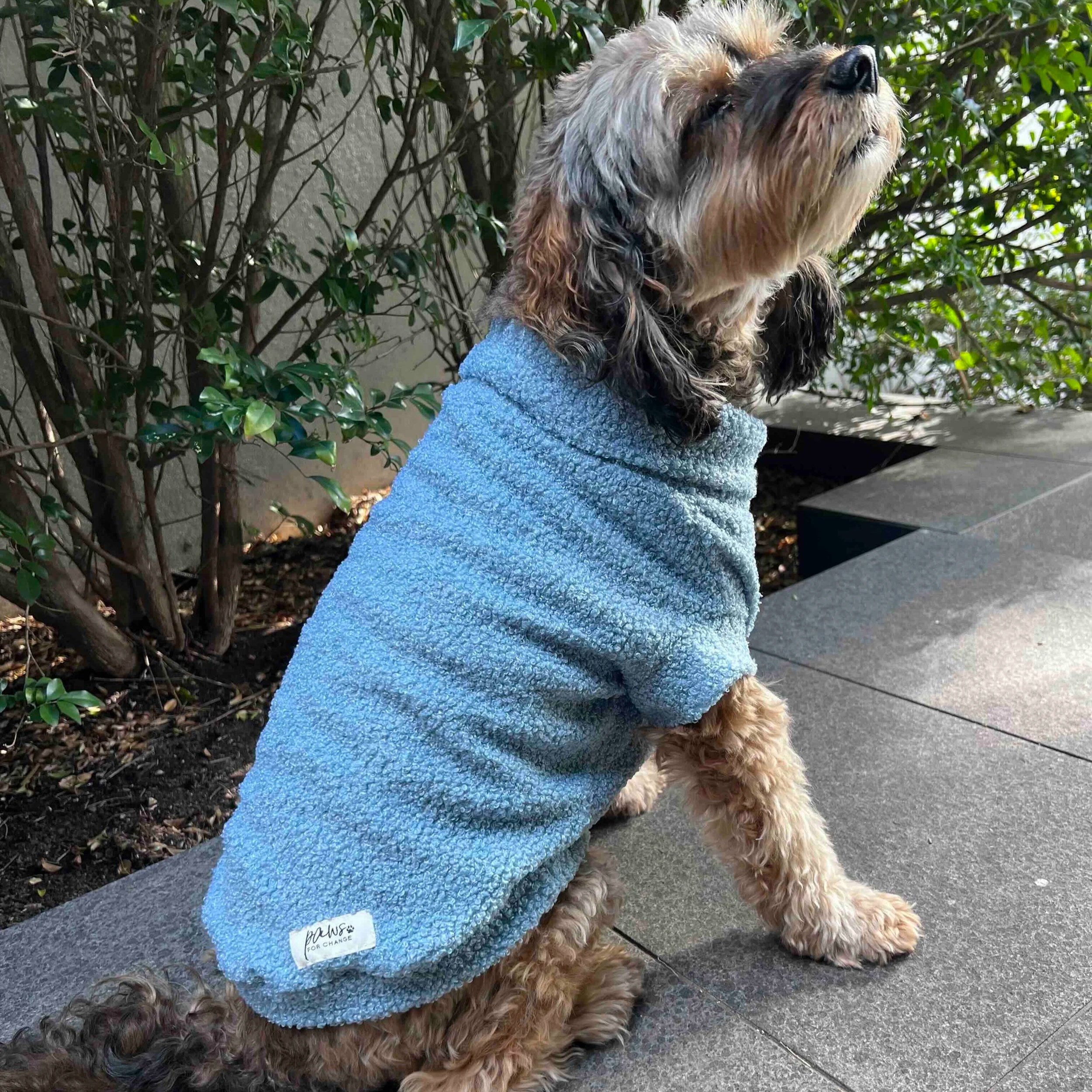 Teddy+Sweater+-+Blue.jpg