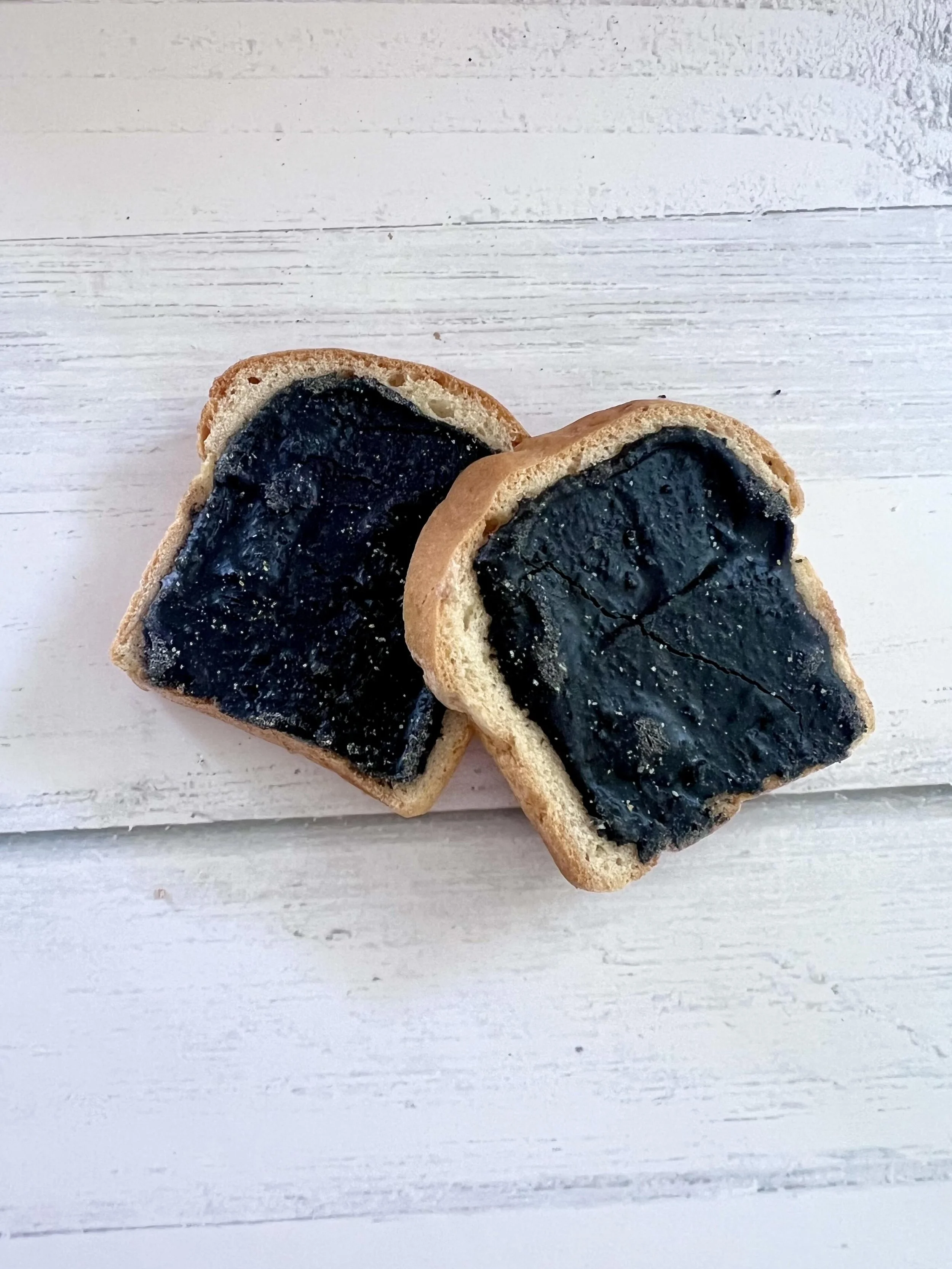 Doggy Vegemite Toast.jpg