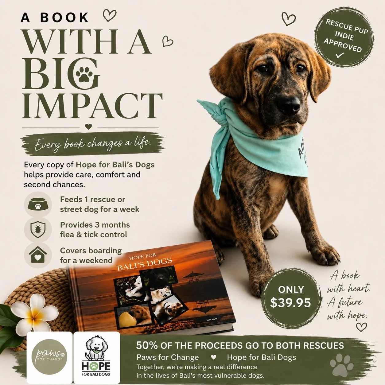 Hope for Bali's Dogs Book.jpg