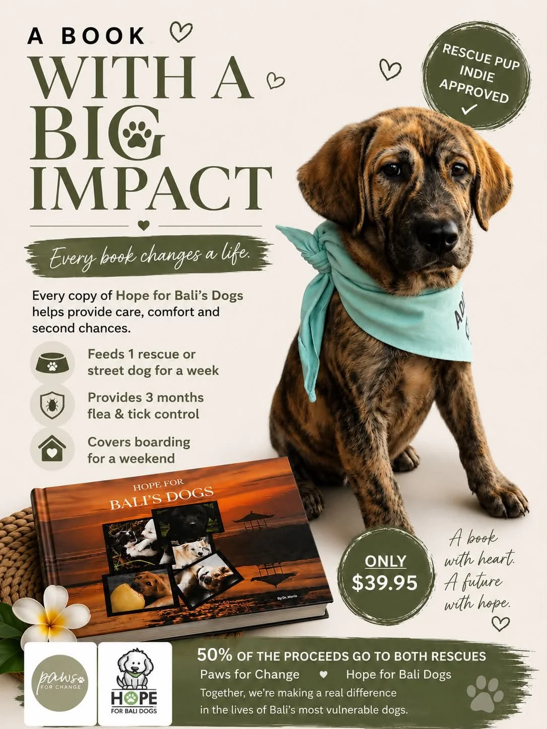 Hope For Bali's Dogs Coffee Table Book