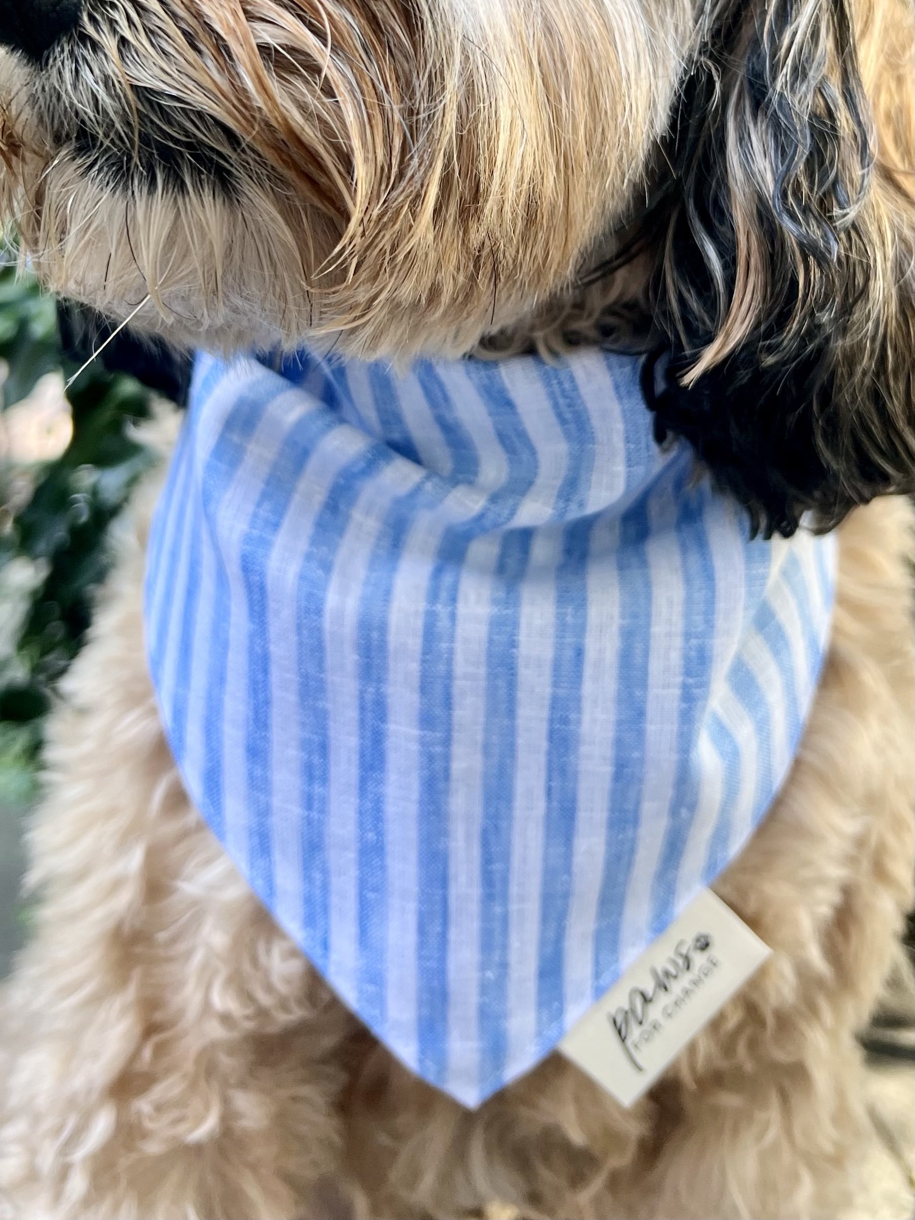 Blue Linen Stripe Bandana.jpg