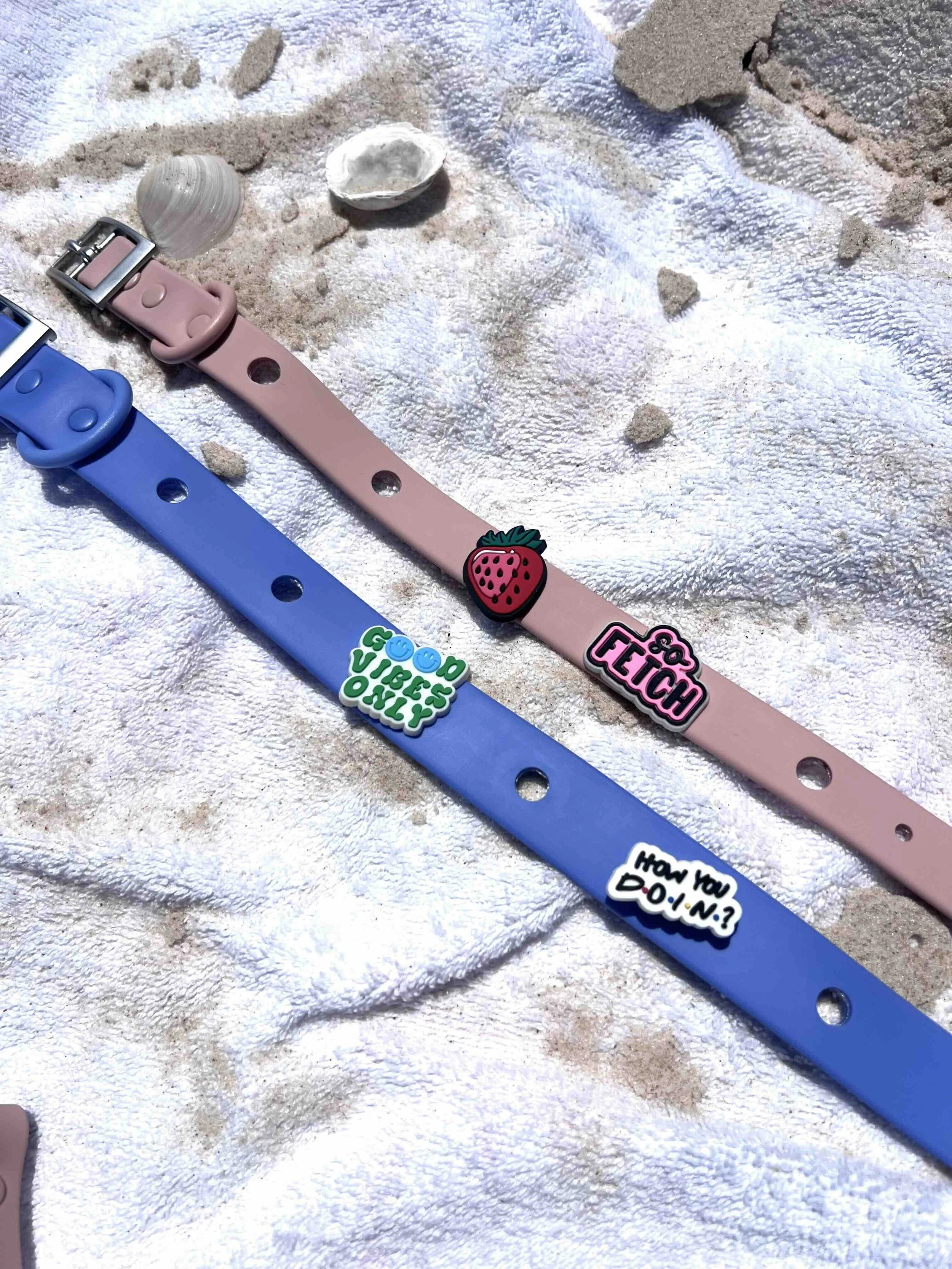 PVC Collars with charms.jpg