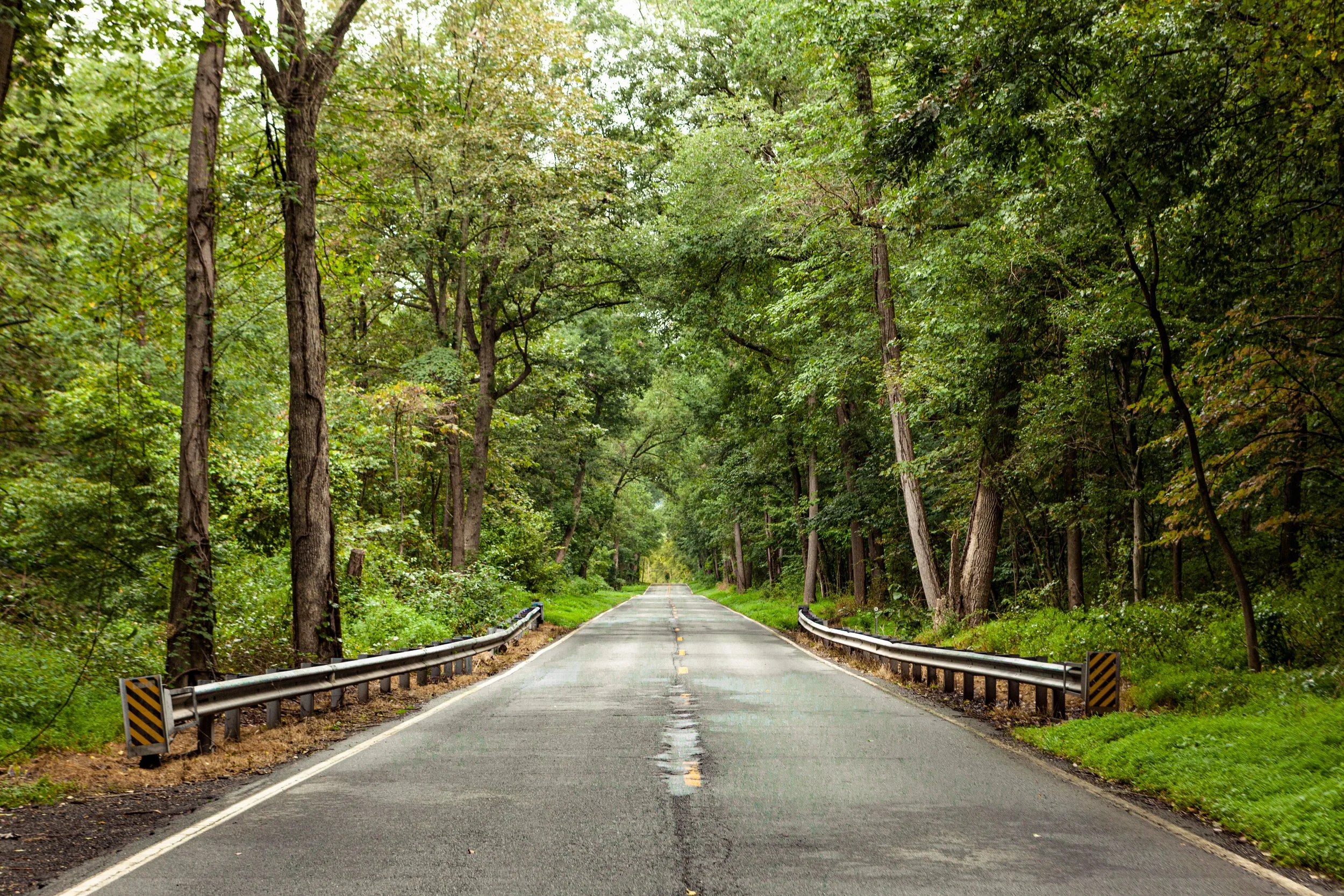 222 N towards US1.jpg