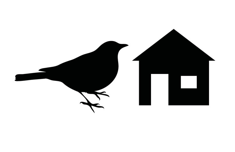 studio-birdhaus