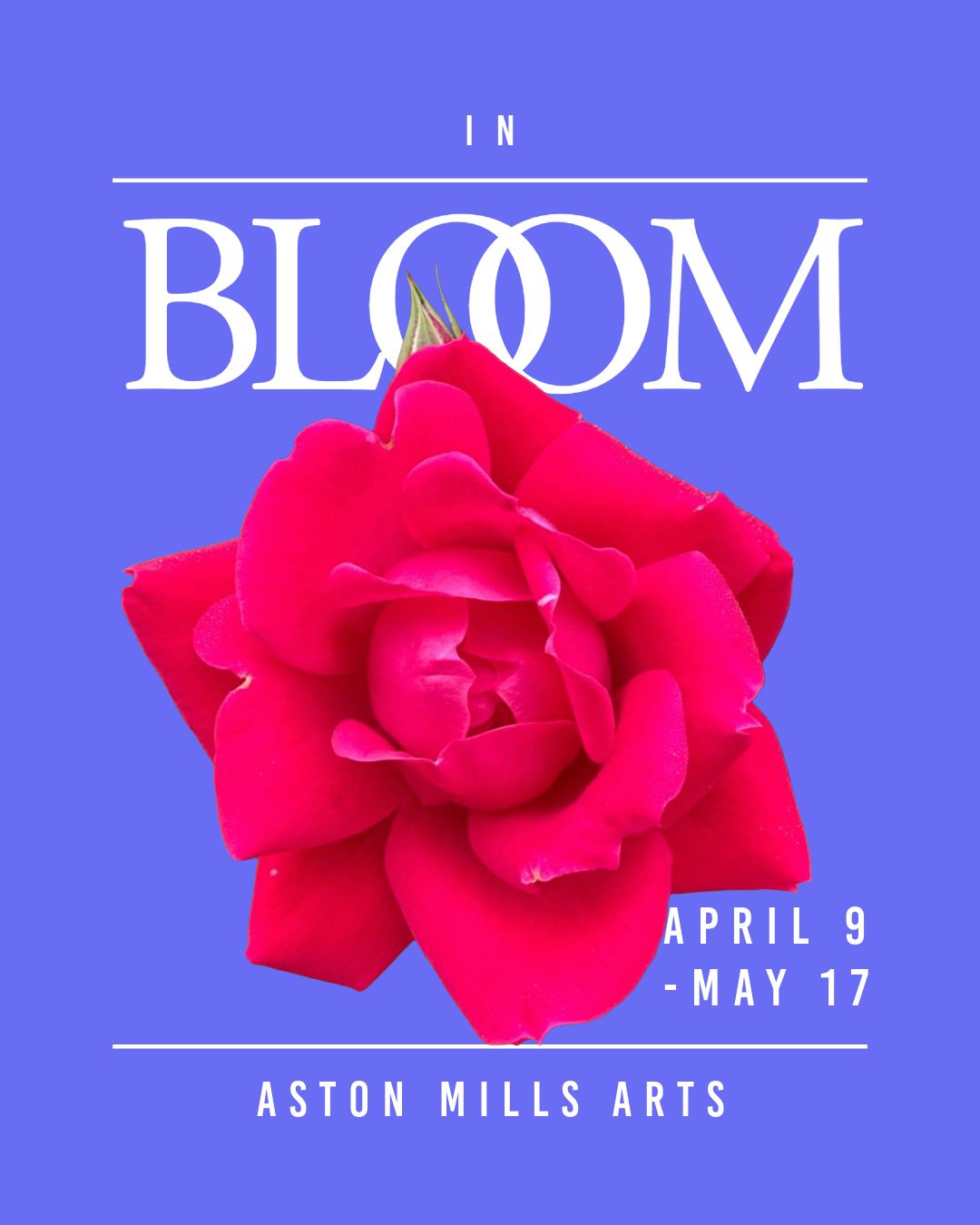 In Bloom Opening Reception/ Open Studios