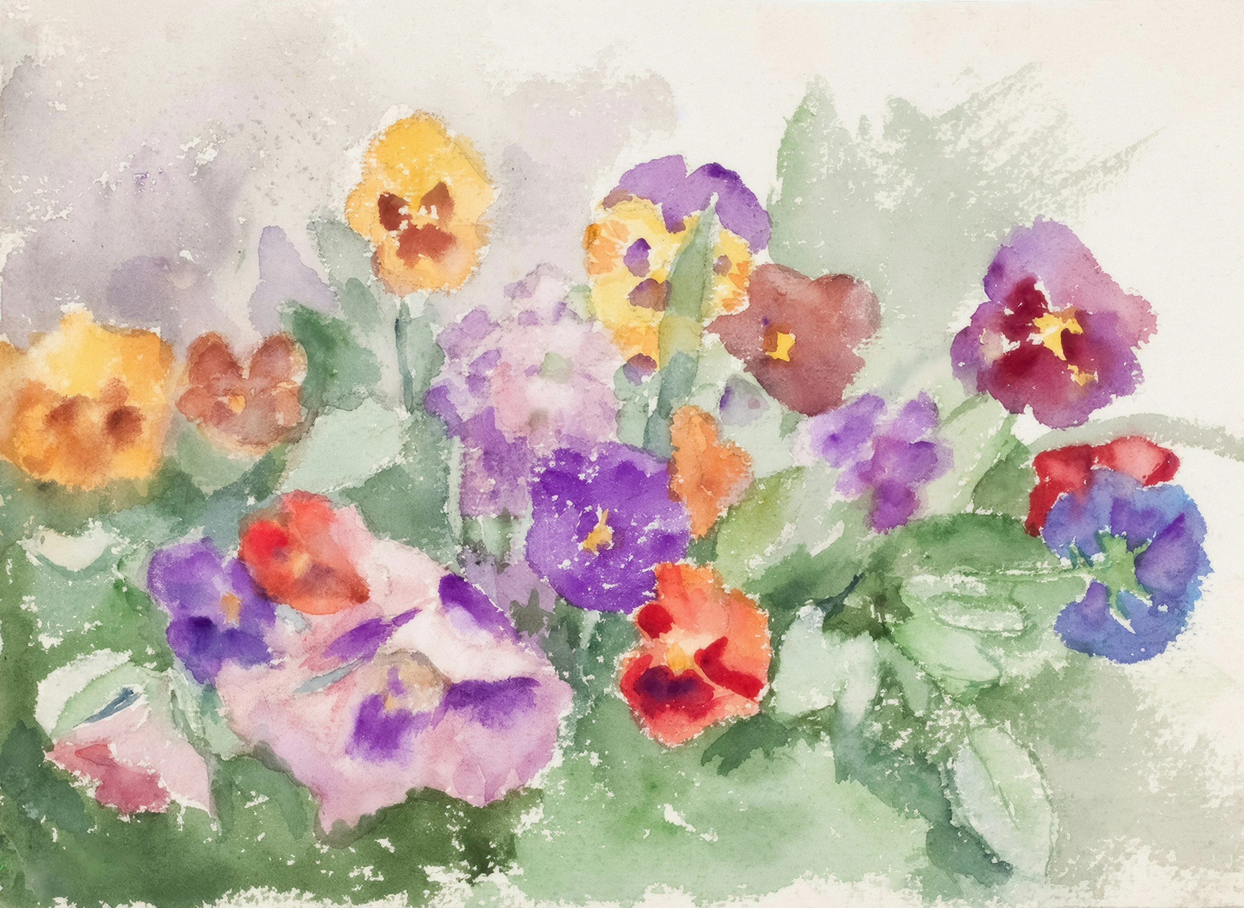 Watercolor Flowers