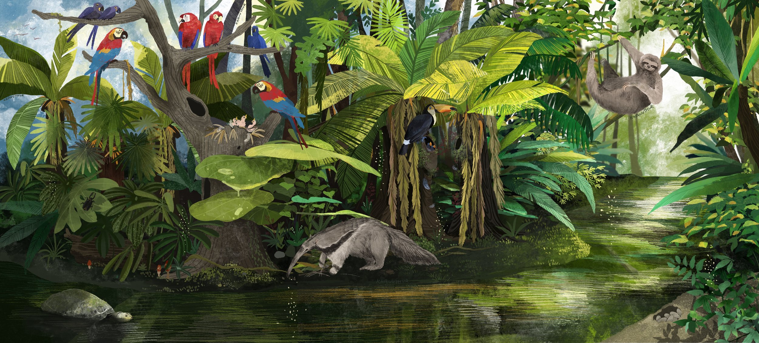 Rainforest-long_.jpg