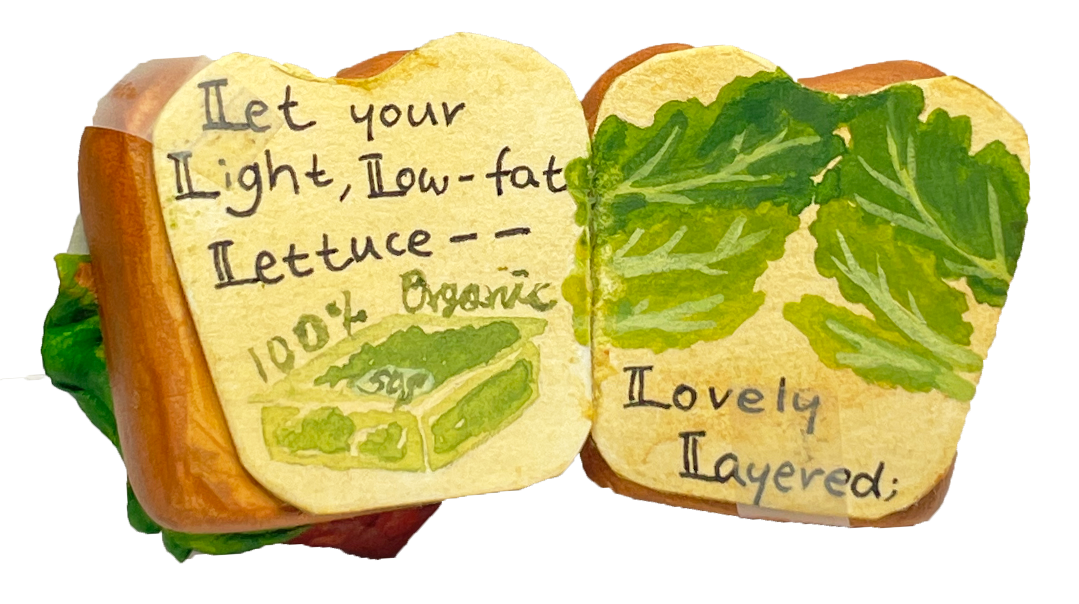 IMG_2567.png