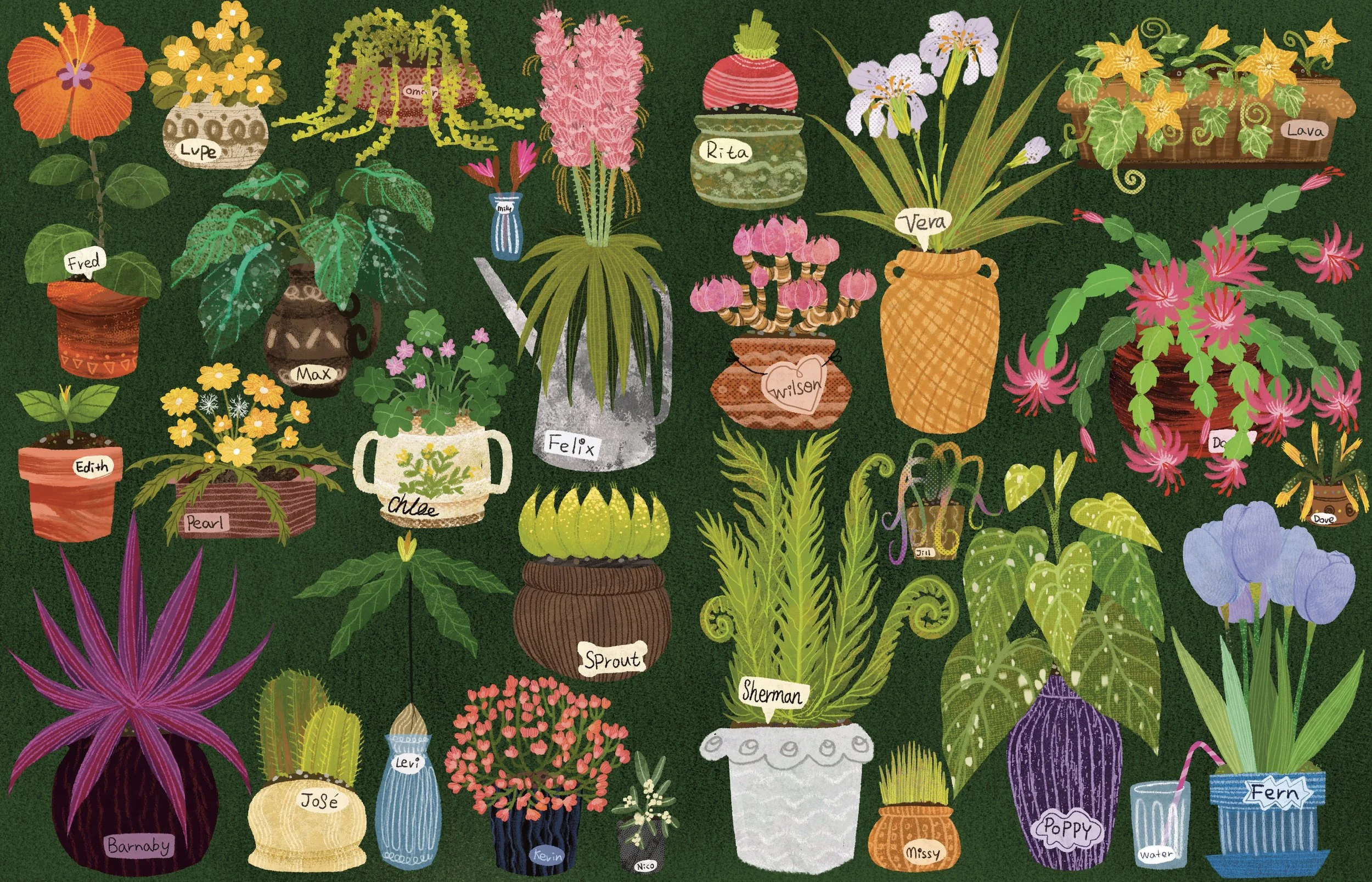 endpaper-_front.jpg