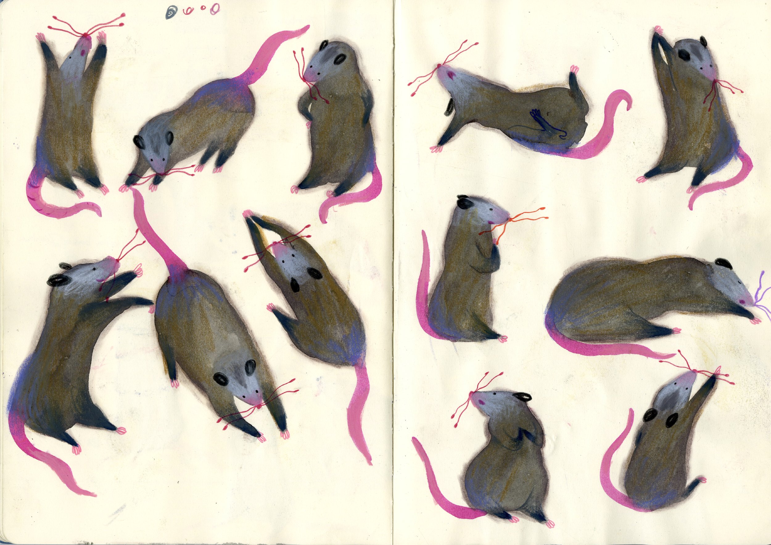 Portfolio-publisher 2.jpg