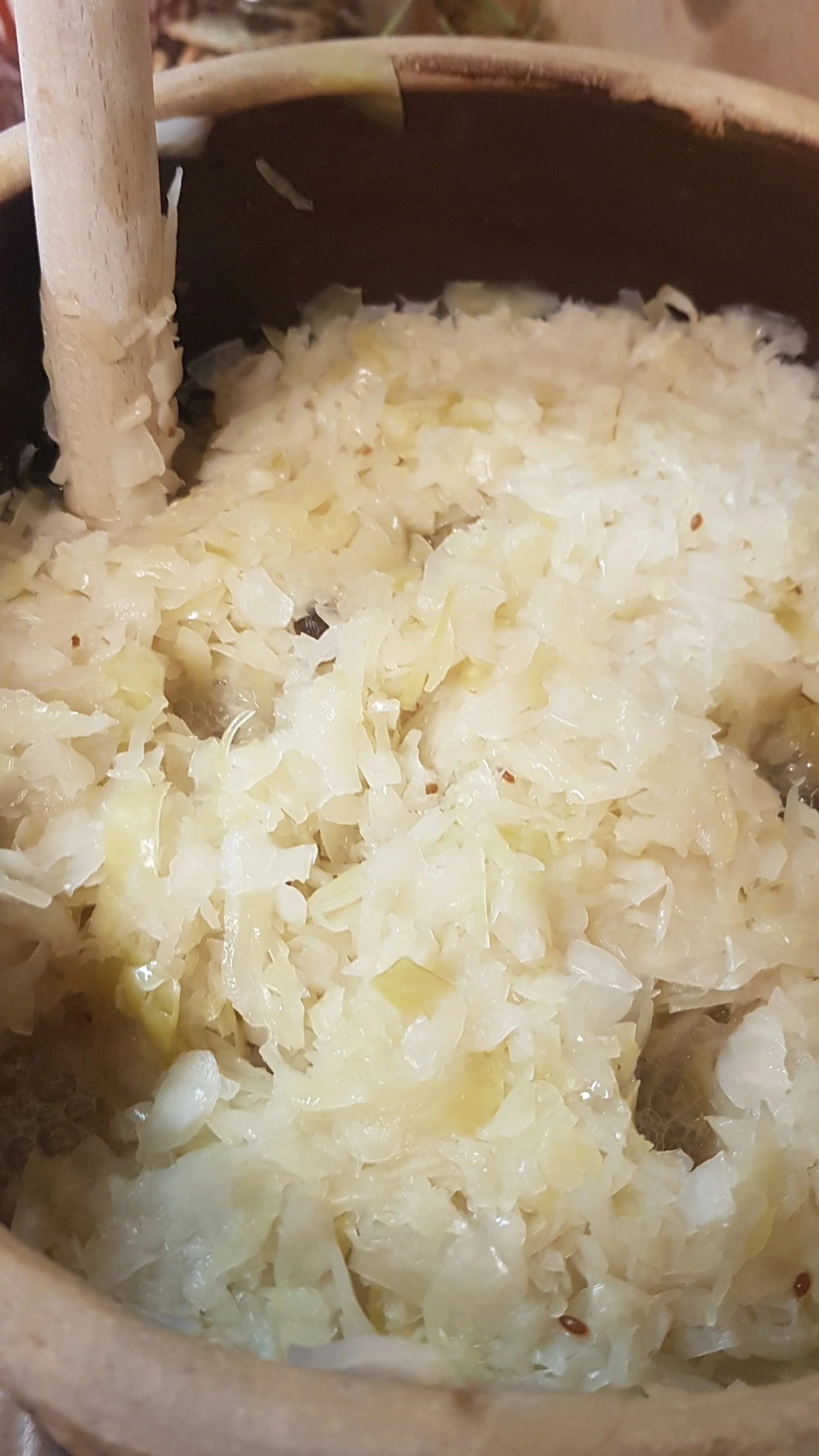 Fermented food