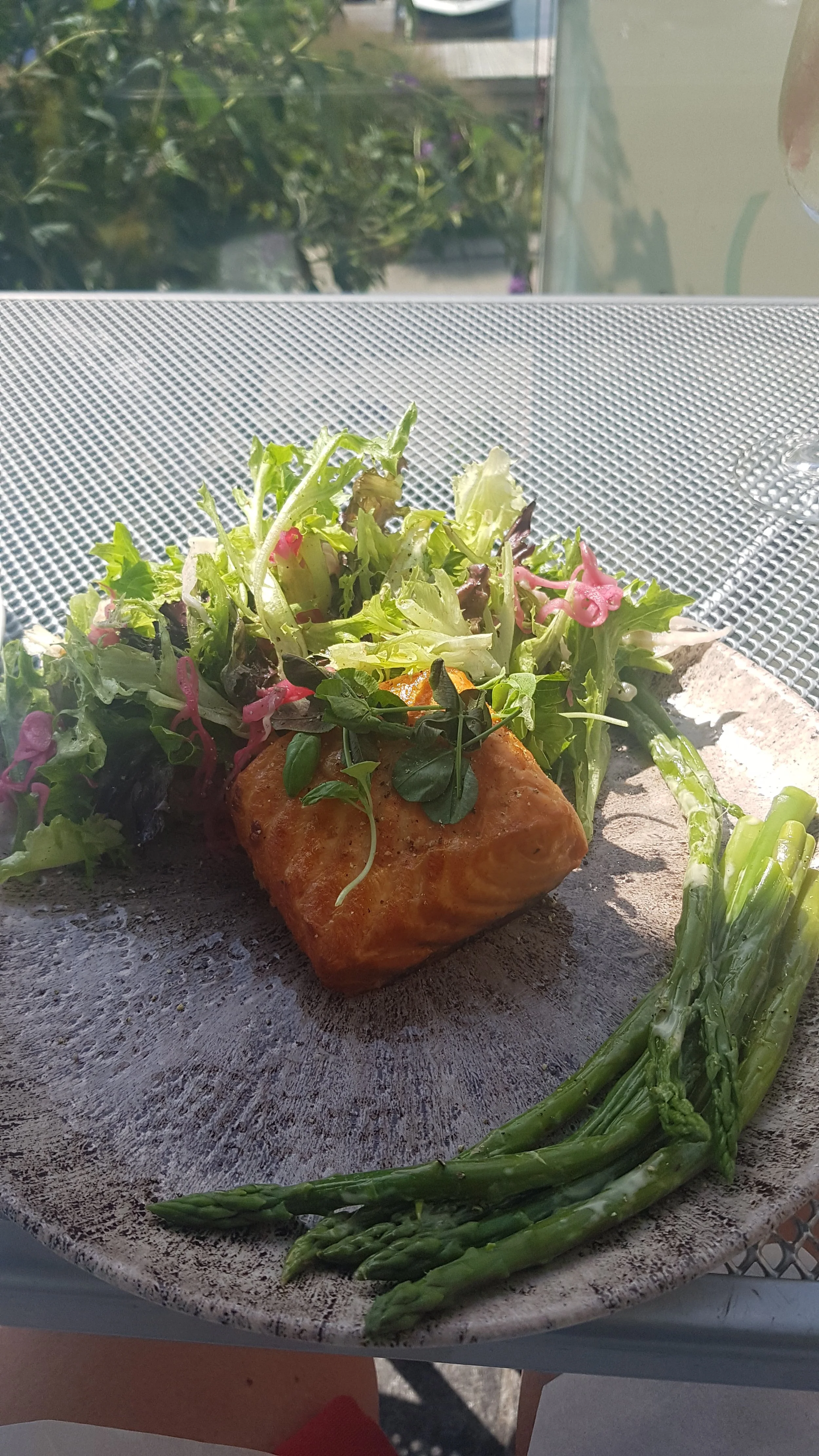 Seafood and Fish