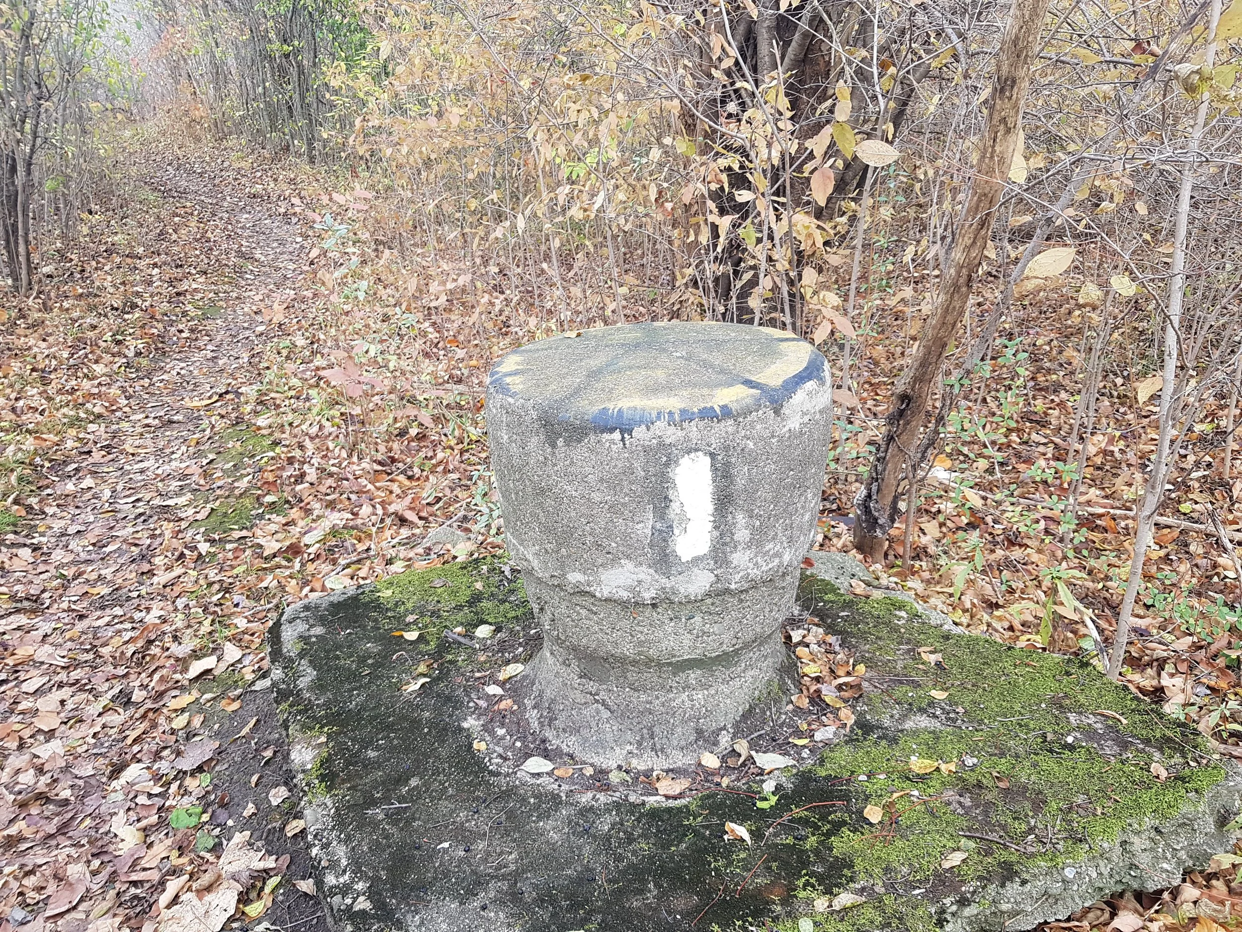 20231112_113653.jpg