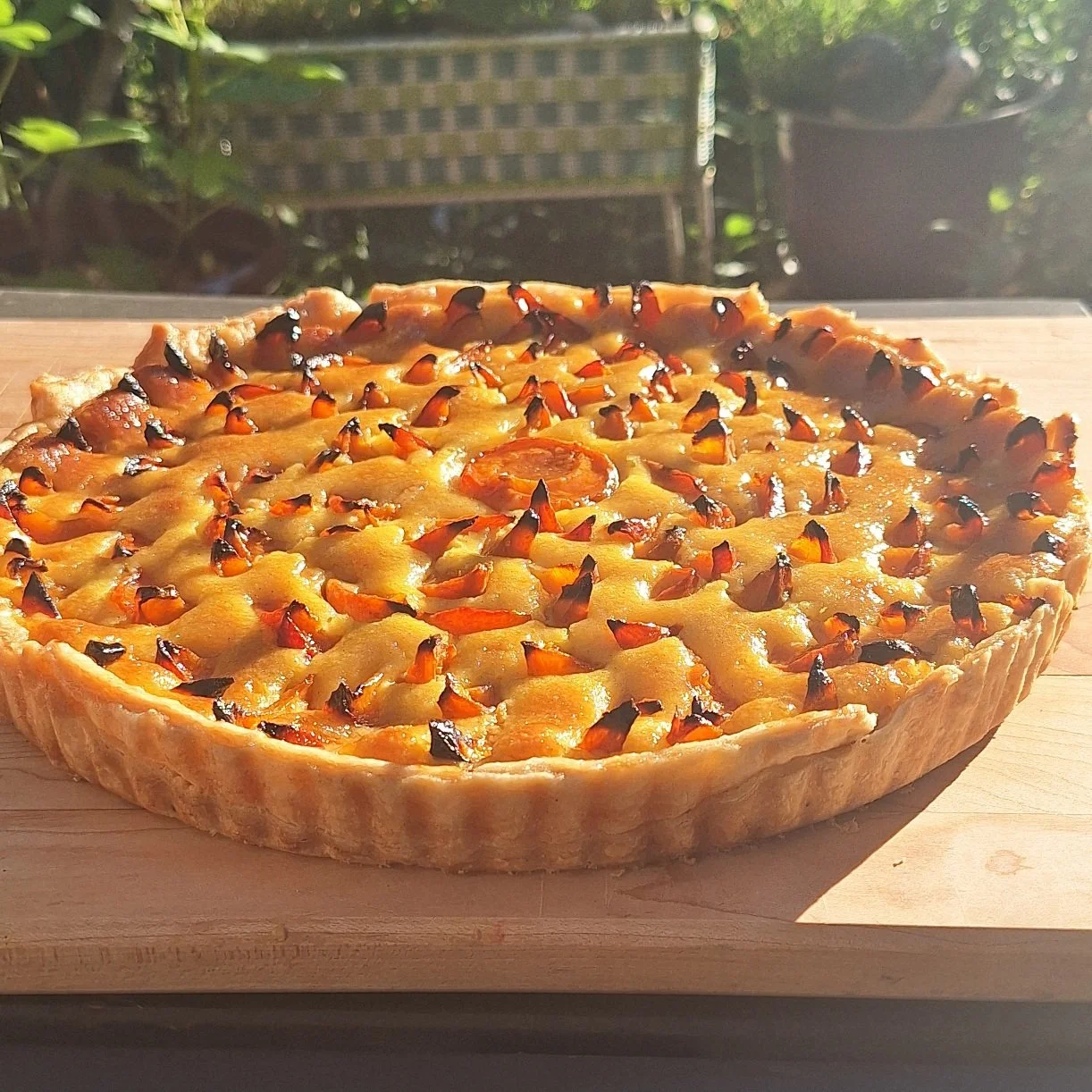 Apricot Tart