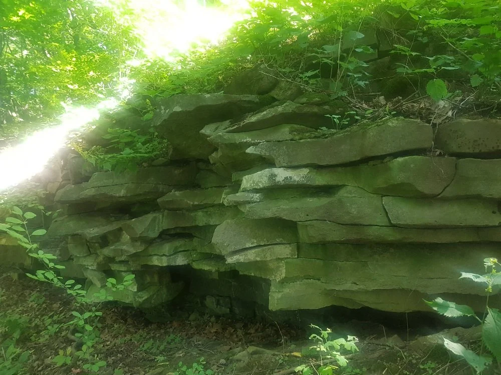 The Bruce Trail Hikes 