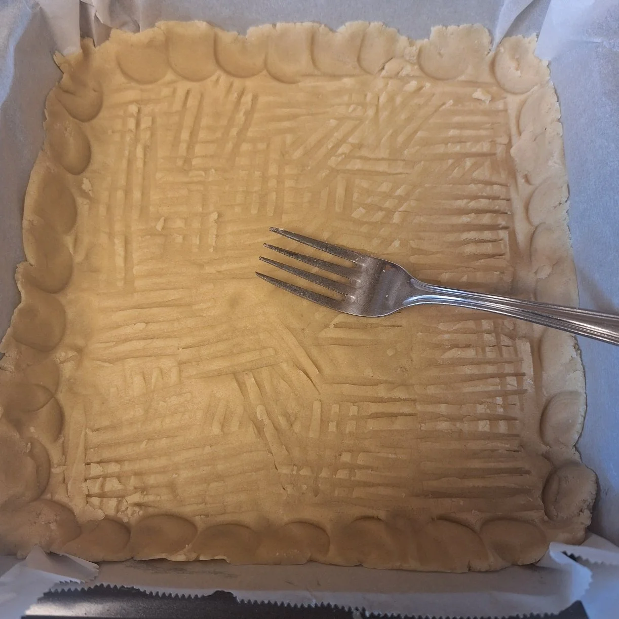 1000061556.jpg