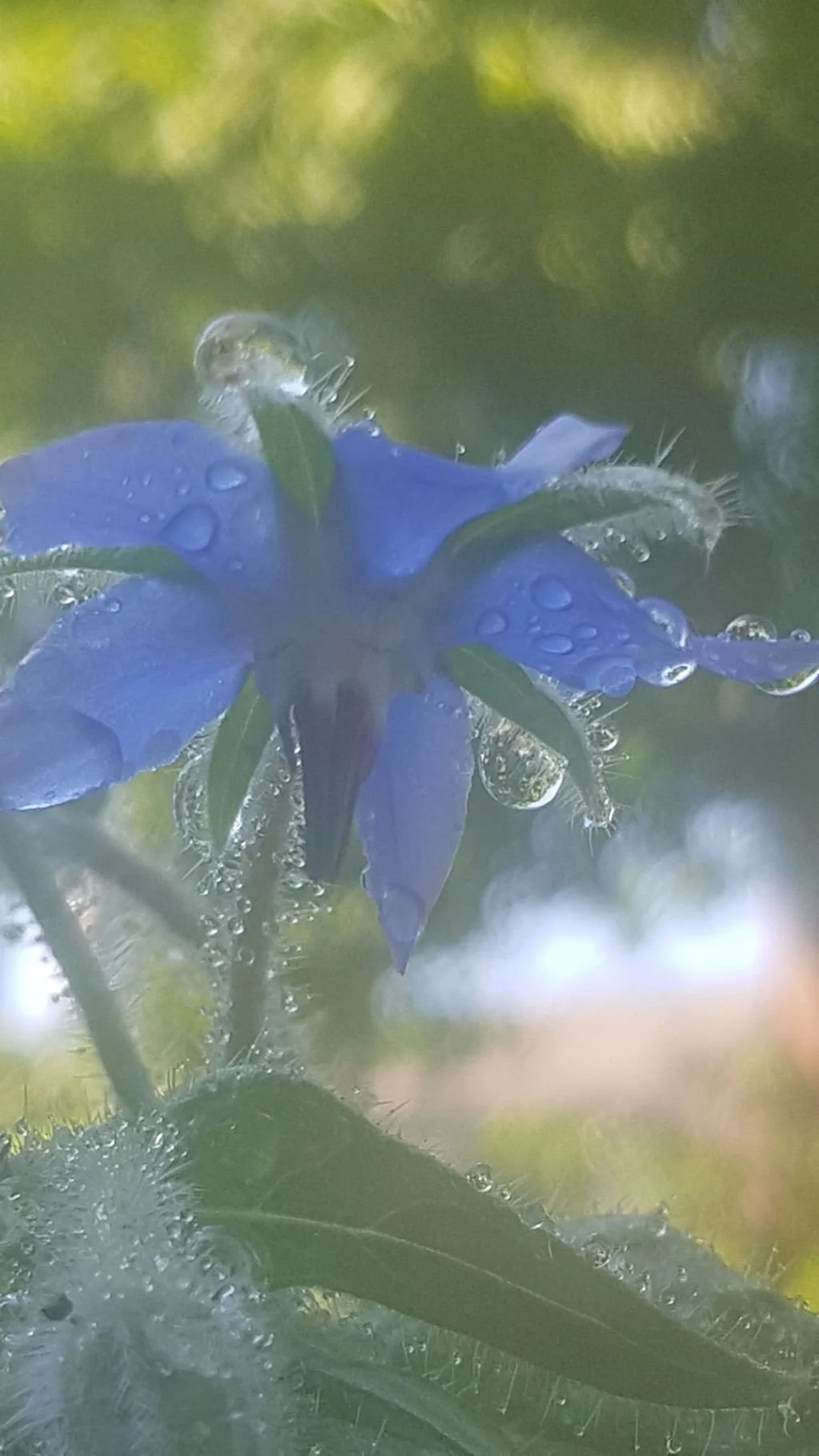 20220716_093901.jpg