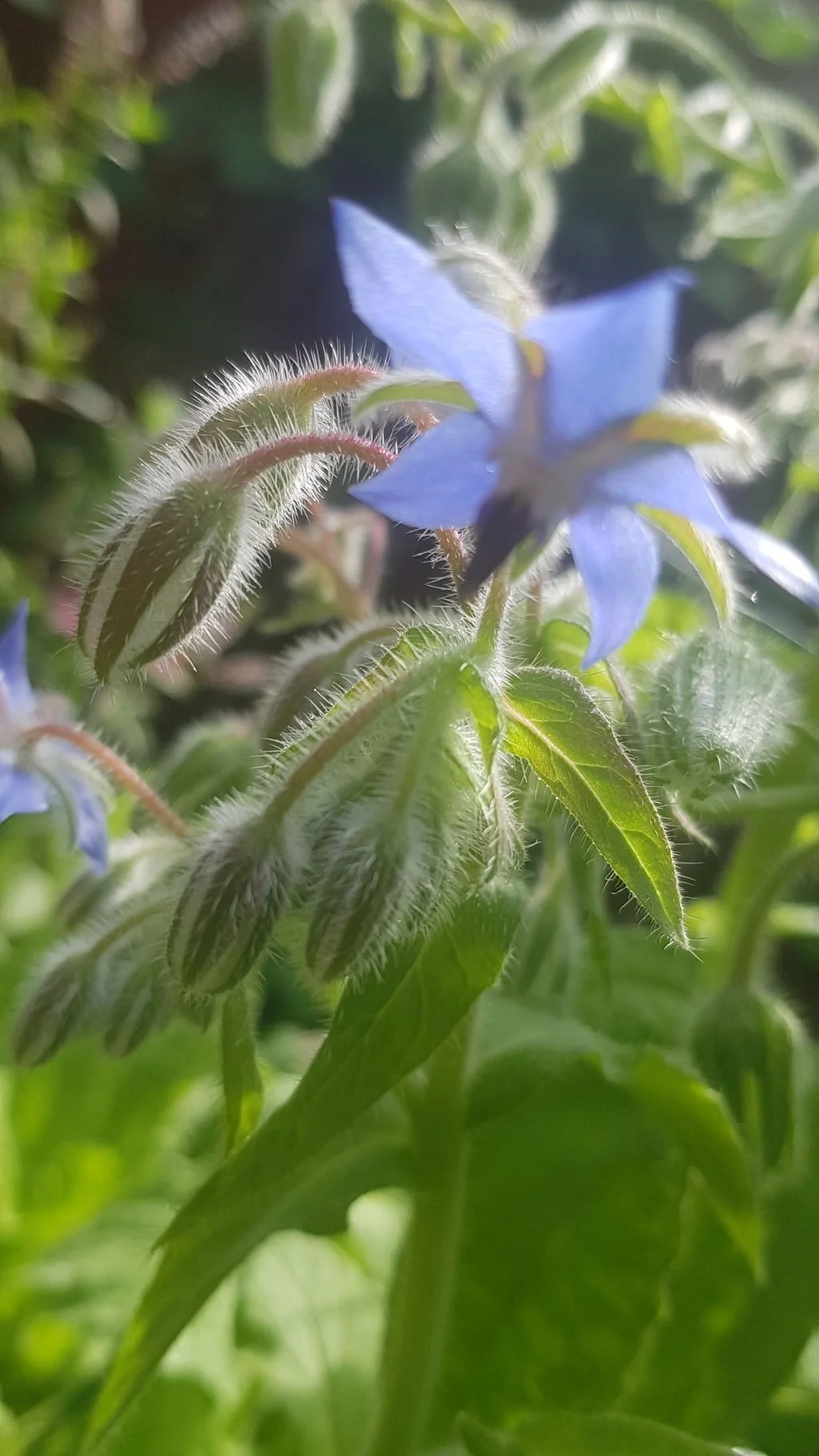 20220805_110906.jpg
