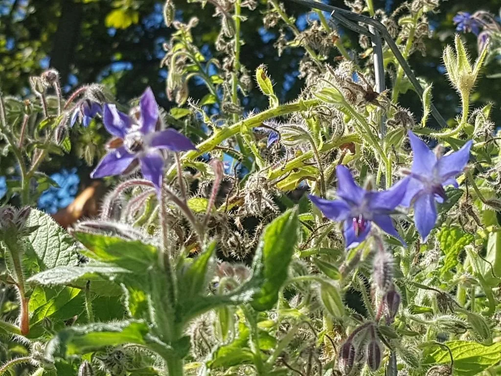20231012_103647.jpg