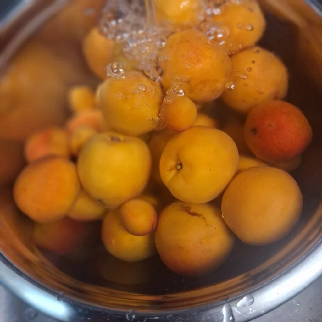 20260726_123018.jpg